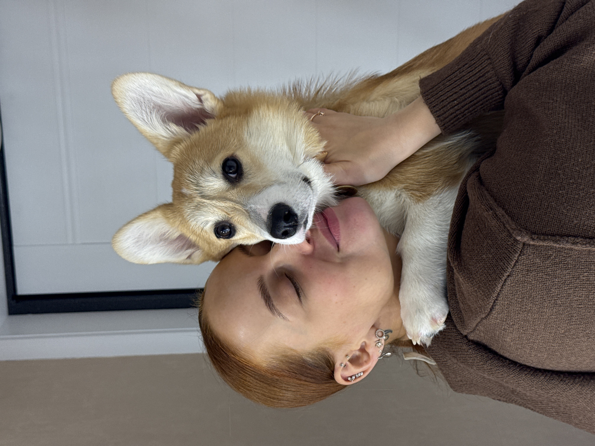 The image captures a close, affectionate interaction between a person and a Corgi dog, set indoors in Chaikovsky, Russia. The shot is composed to emphasize the intimate connection between the two subjects.
A person, appearing female with reddish-brown hair and freckles, is shown with her eyes gently closed, suggesting a moment of comfort, relaxation, or deep affection. Her left hand is softly placed on the dog's shoulder or neck, revealing a subtle ring on her finger. She wears a brown knitted sweater. Multiple piercings adorn her left ear, including a decorative dangle earring, a helix piercing, and a conch piercing.
The Corgi, a breed known for its distinctive appearance, has fawn and white fur, prominent erect ears, and dark, expressive eyes that look directly towards the camera. Its nose is positioned very close to the person's lips, indicating a strong bond and closeness. The dog appears calm and content in the person's embrace.
The background consists of light-colored walls, possibly white or light grey, with subtle paneling or trim visible, suggesting a home or a similar indoor environment. A dark, thin frame is partially visible. The lighting is soft and even, characteristic of diffused indoor light. The overall mood conveyed by the image is one of warmth, tenderness, and mutual affection between the person and their pet. No visible text is present in the image.