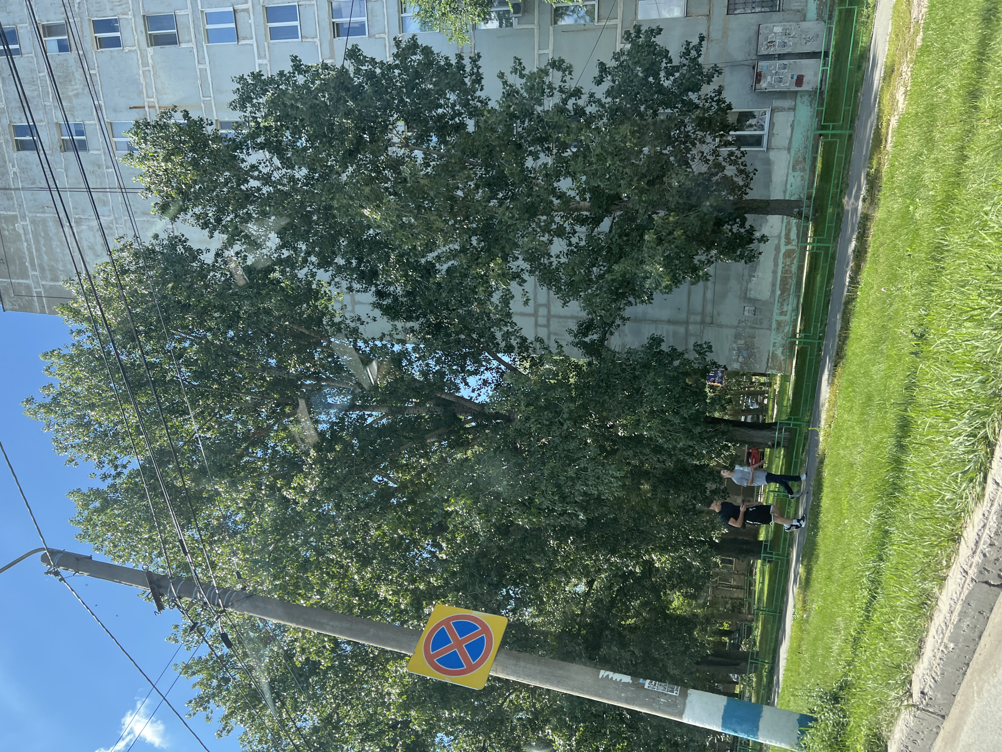 In Ulyanovsk, Russia, a concrete utility pole stands to the left of the frame, marked with blue and white paint stripes near its base. A yellow, square traffic sign with a red border and a blue circle containing a red cross is attached to the pole. Behind the pole, large, leafy green trees dominate the midground, with their branches obscuring parts of a multi-story, light blue apartment building in the background. The building features numerous windows and visible concrete construction lines. In front of the trees and building, two young men are walking on a paved path bordered by a green metal fence. One man, wearing a black t-shirt and shorts, is running, while the other, in a grey t-shirt and dark pants, is walking beside him. The foreground consists of a strip of bright green grass and a concrete curb. The sky above is blue with a few white clouds.