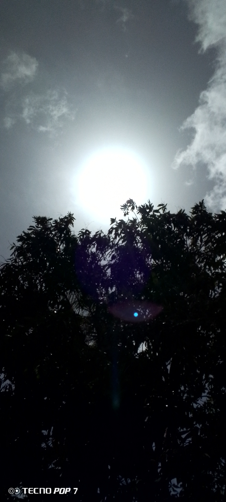 The image shows a low-angle view of the sky, with bright sunlight obscured by a tree's foliage. The sky is grey with some clouds visible. The tree branches and leaves are silhouetted against the bright sky. There's a lens flare visible near the bottom of the frame. The "TECNO POP 7" watermark appears in the lower left corner. There is no information about the city of Altagracia, Venezuela, or any other specific location. No people, actions, or interactions are visible.
