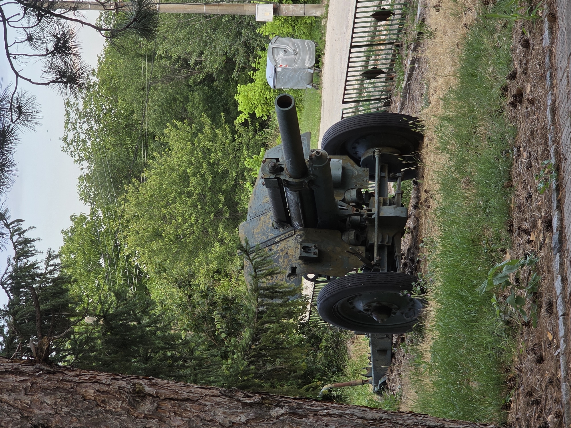 The image depicts a historical artillery piece, a gun, displayed outdoors in what appears to be a park or memorial area in the city of Varbovchets, Bulgaria. The gun is painted in camouflage colors, showing signs of age and weathering. It is positioned on two large wheels and is mounted on a wheeled carriage. In the background, there are trees, a dirt road, a metal fence, and two large, wheeled garbage bins. A power line is visible stretching across the middle ground. The foreground consists of grass and pinecones. A large tree trunk occupies the left side of the frame, partially obscuring the view of the gun. No people are visible in the image.