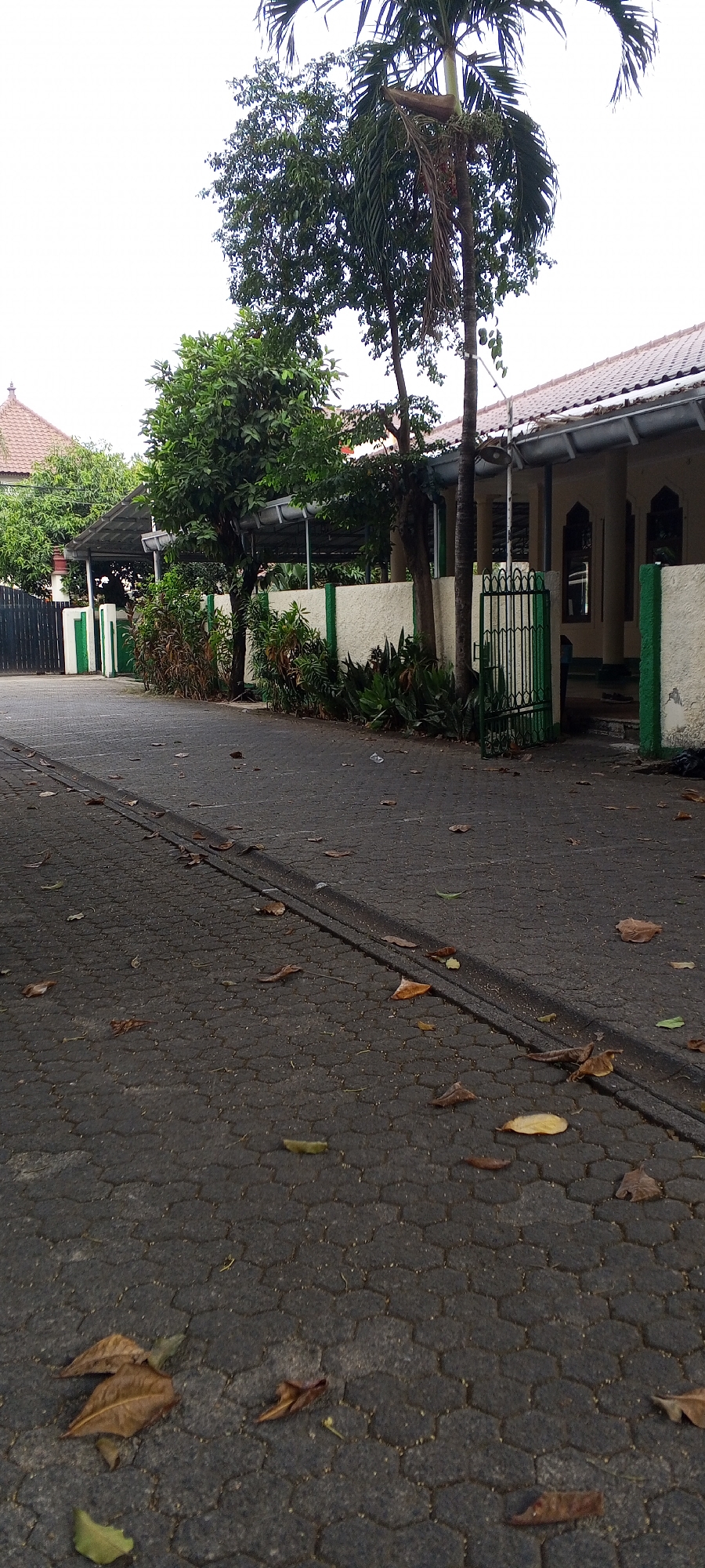 The image depicts a paved walkway in front of a building, likely a mosque or a similar structure, with trees and foliage present. The walkway is made of interlocking hexagonal pavers and has a narrow drainage channel running along its length. Several dry leaves are scattered on the pavement. The building has a white stucco facade with green trim and a tiled roof. A green metal gate is visible, providing access to the building's interior. The surrounding area appears to be a residential or institutional setting within a city. The image was taken outdoors, likely during the day, with overcast sky conditions.
The location is identified as South Jakarta, Indonesia. This detail is based on the visual cues present in the image, such as the architectural style of the building, the types of trees and vegetation, and the overall environment, which are consistent with the characteristics of South Jakarta. The presence of palm trees and the style of the building are common in tropical urban environments like Indonesia.