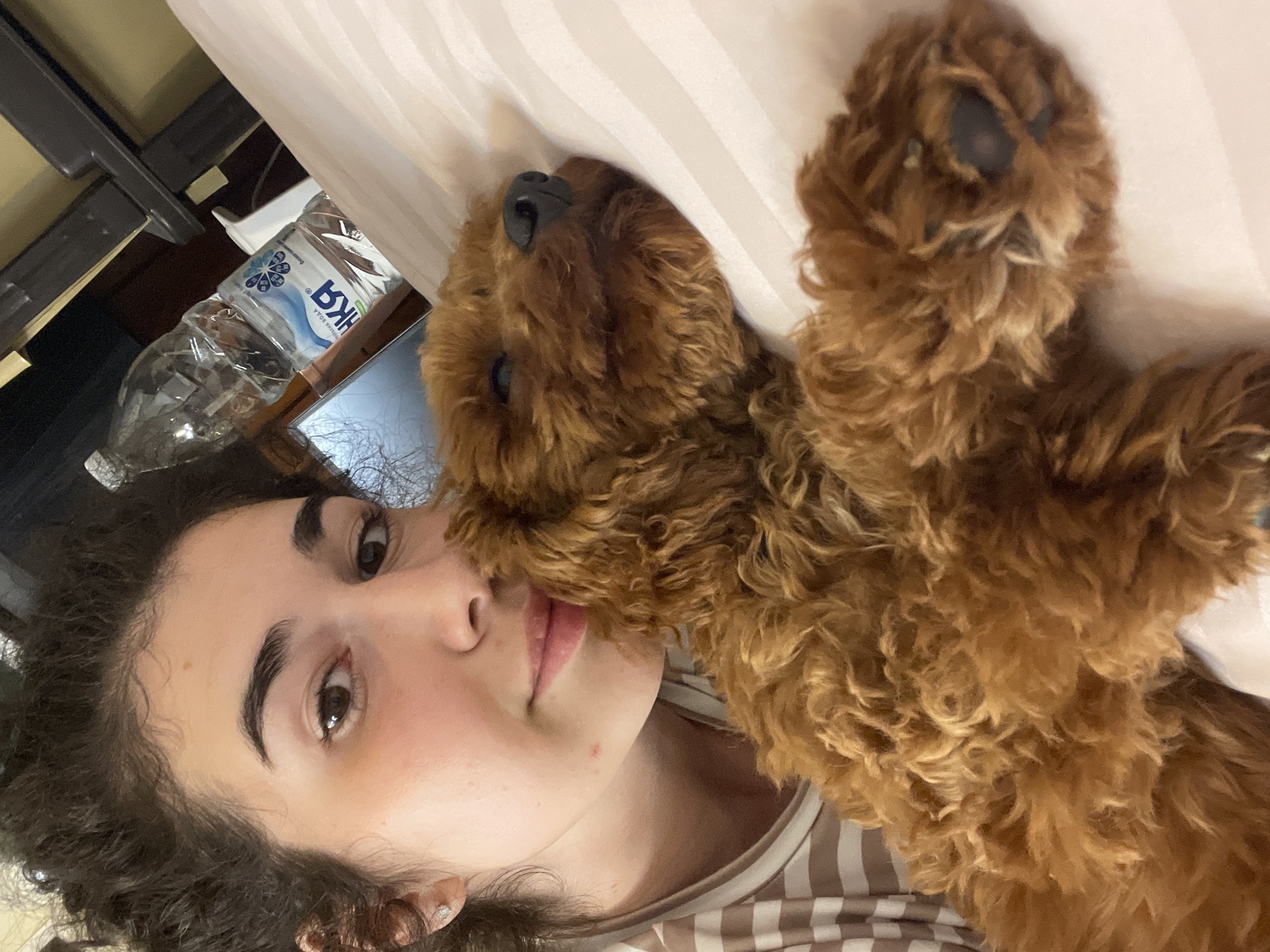 A selfie-style photograph depicts a young adult female and a small dog in a relaxed indoor setting, likely a bedroom, located in Sofia, Bulgaria. The female, positioned on the left side of the frame, has dark, curly hair, a light complexion, and dark eyes. She is wearing a light-colored striped t-shirt and a small stud earring in her left ear. Her expression is calm with a slight smile. To her right, a small reddish-brown (auburn) curly-haired dog is lying down, appearing to sleep or rest, with its head nestled against a white striped pillow. The dog's eyes are closed, and its black nose is visible. In the upper right background, a clear plastic water bottle with a blue and white label displaying Cyrillic text, specifically "БАНКЯ" (Bankya), is visible. Indistinct furniture elements are present in the blurred background behind the bottle. The woman's arm is not visible, suggesting she is holding the camera to capture the close interaction with the sleeping dog. One of the dog's paws with a dark pad is visible in the lower right corner of the frame.