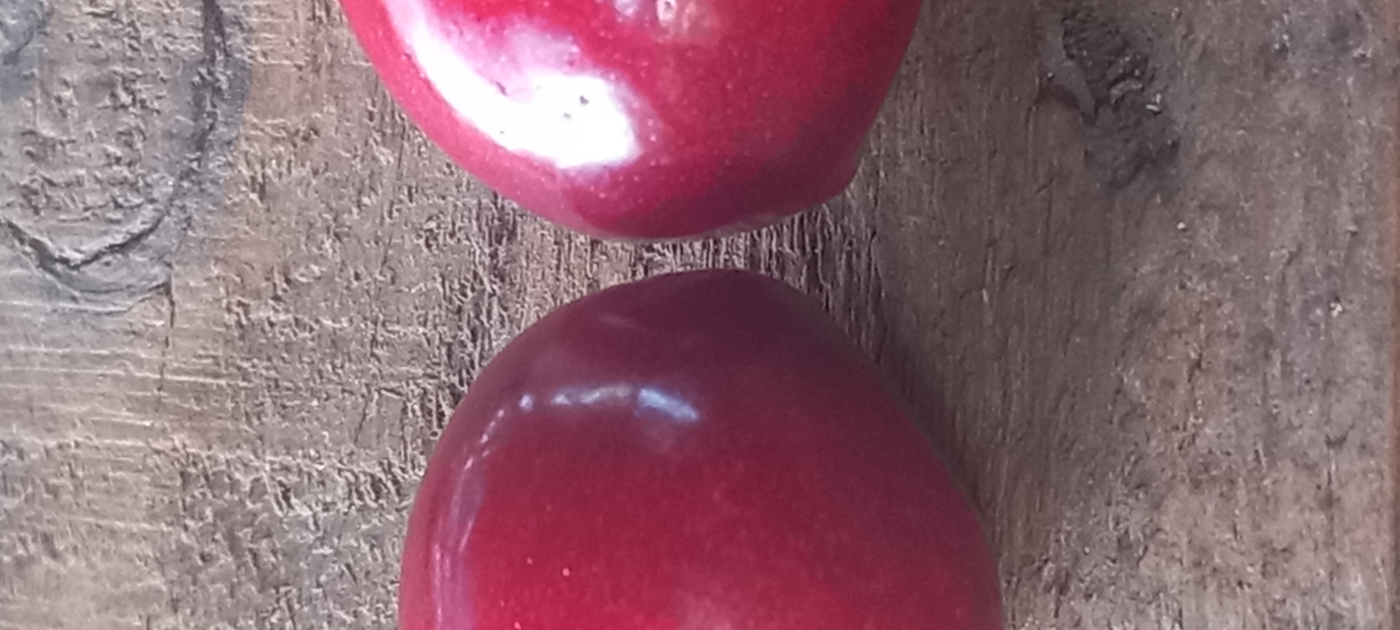 The image depicts two ripe, red fruits, likely apples or large plums, positioned in the foreground against a textured, worn wooden surface, contextualized as being in Kryvyi Rih, Ukraine. Both fruits exhibit glossy, deep red skins with prominent bright highlights, indicative of smooth, reflective surfaces. The fruit on the left is slightly darker red than the one on the right. The wooden background displays a rough, light brown and grey texture with visible vertical grain lines, scratches, and various small depressions, consistent with weathered wood. A distinct dark, circular knot is present in the upper right portion of the wooden surface. Overhead lighting illuminates the subjects, enhancing their luster. The composition is a close-up, vertically oriented shot.