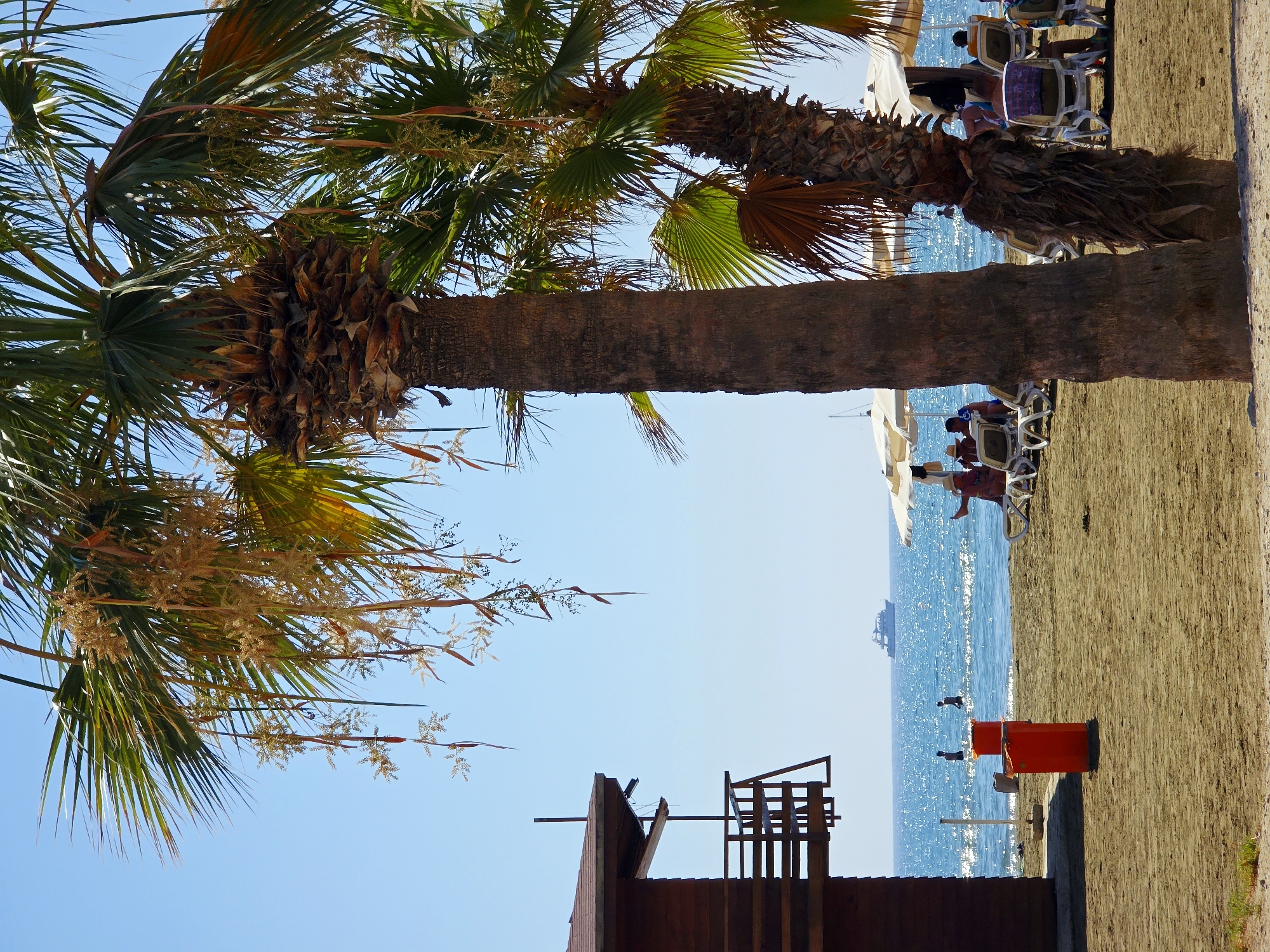 This is a photograph taken at a beach in Larnaca, Cyprus. In the foreground, two large palm trees stand on a sandy beach. To the left, a two-story wooden structure, possibly a lifeguard station or beachside building, is visible. A red trash receptacle is positioned on the sand in front of this structure. In the middle ground, several beach umbrellas and lounge chairs are set up on the sand. People are seated on the lounge chairs, and some are in the shallow water. The sea stretches to the horizon, where a boat is visible. The sky is clear and blue.