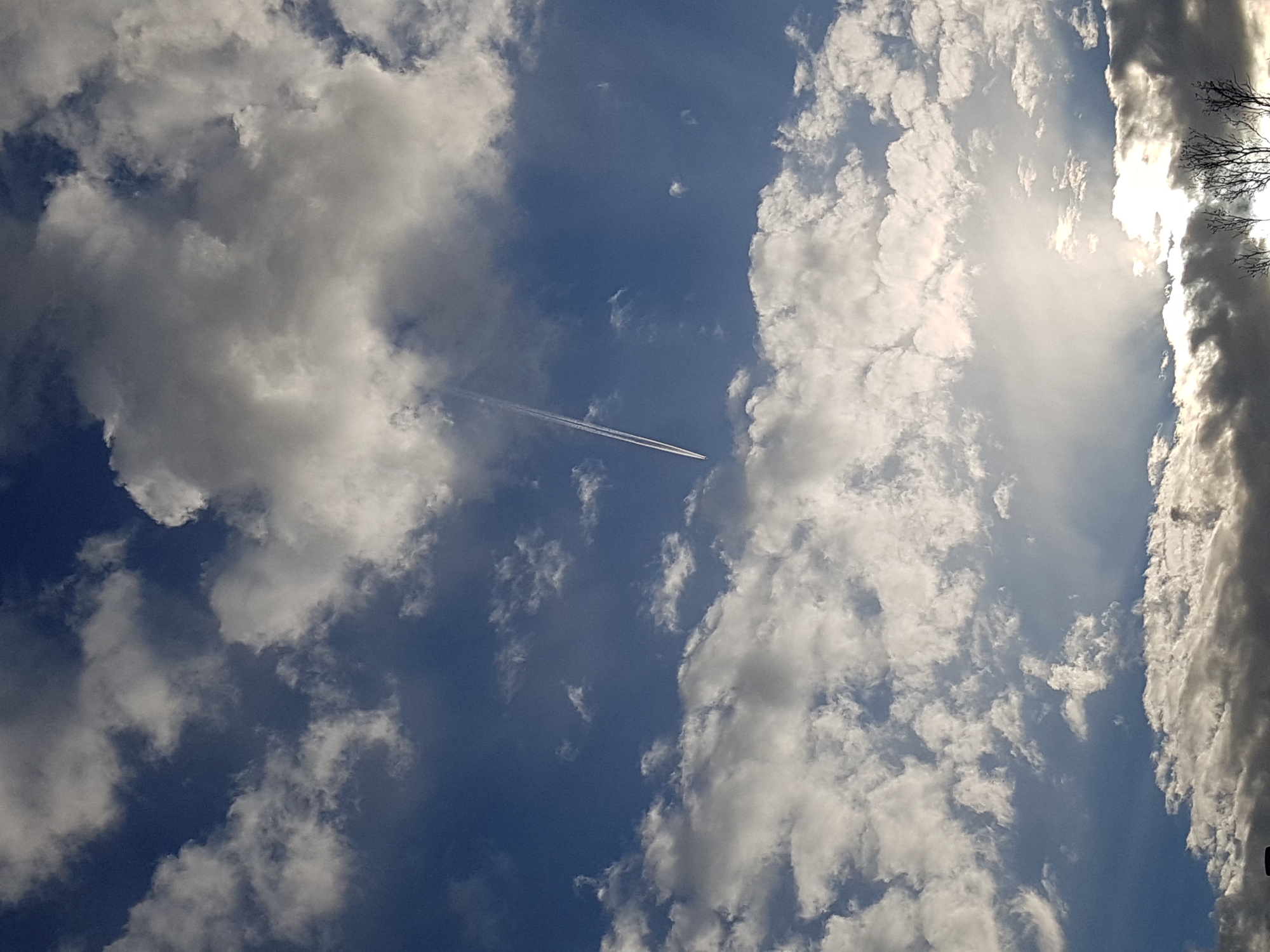 The vertically oriented image captures a bright, partly cloudy daytime sky. The scene is dominated by a mix of fluffy white and denser gray cumulus clouds, interspersed with patches of clear, deep blue sky. A strong light source, likely the sun, is visible on the right side, casting a bright glare and highlighting the edges of the clouds with brilliant white, while other cloud formations appear darker due to their thickness or being in shadow.
A distinct, thin white contrail, left by an aircraft, stretches diagonally across the central-left portion of the blue sky, appearing to move from the lower-left towards the upper-middle of the frame. On the far right edge of the image, silhouetted against the bright sky and clouds, are the intricate, bare branches of a tree, indicating a season devoid of leaves such as late autumn, winter, or early spring. The overall impression is one of an expansive sky under strong daylight. No discernible text is present in the image.