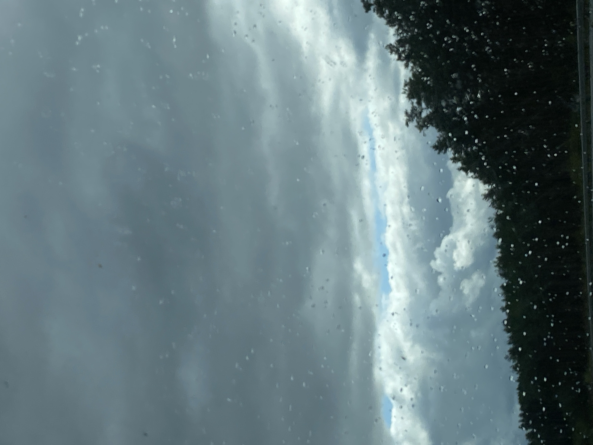 The image depicts a dark, cloudy sky with streaks of light blue peeking through in the distance, likely representing a break in the clouds. The foreground is dominated by the dark silhouettes of trees, possibly a dense forest line. Scattered across the image, appearing as small, bright dots, are water droplets, suggesting the photo was taken through a wet window, perhaps during rainfall or after. The overall impression is a moody, overcast day with natural elements prominent. The location in Porzolovo, Russia, evokes a sense of a rural or suburban setting with a focus on the natural landscape and weather conditions. There are no people or discernible human activity visible in the frame.