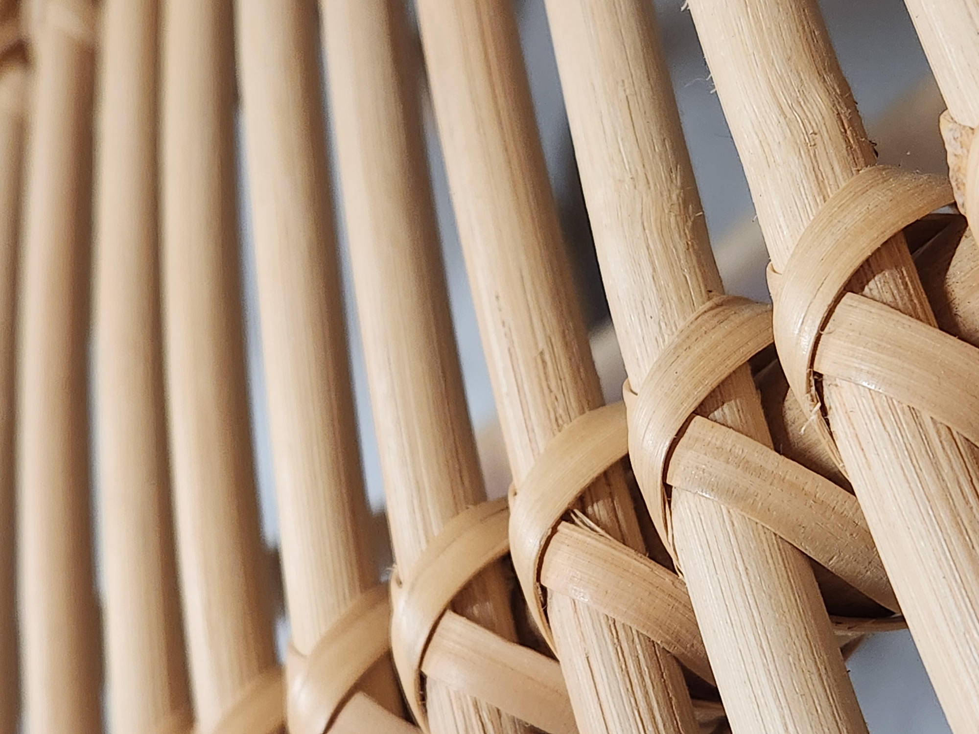 The image displays a close-up, shallow depth-of-field view of woven bamboo or rattan material. Multiple parallel rods, likely bamboo or rattan, are visible, running horizontally across the frame. These rods are bound together at intervals by woven strips of the same material, creating a textured pattern. The color is a natural, light tan or beige, characteristic of dried bamboo. The lighting is soft, highlighting the grain and texture of the material. The background is out of focus and appears to be a plain, neutral color, possibly a wall or surface. There are no people, animals, or any other objects present in the image. The scene is static and focused solely on the woven structure.