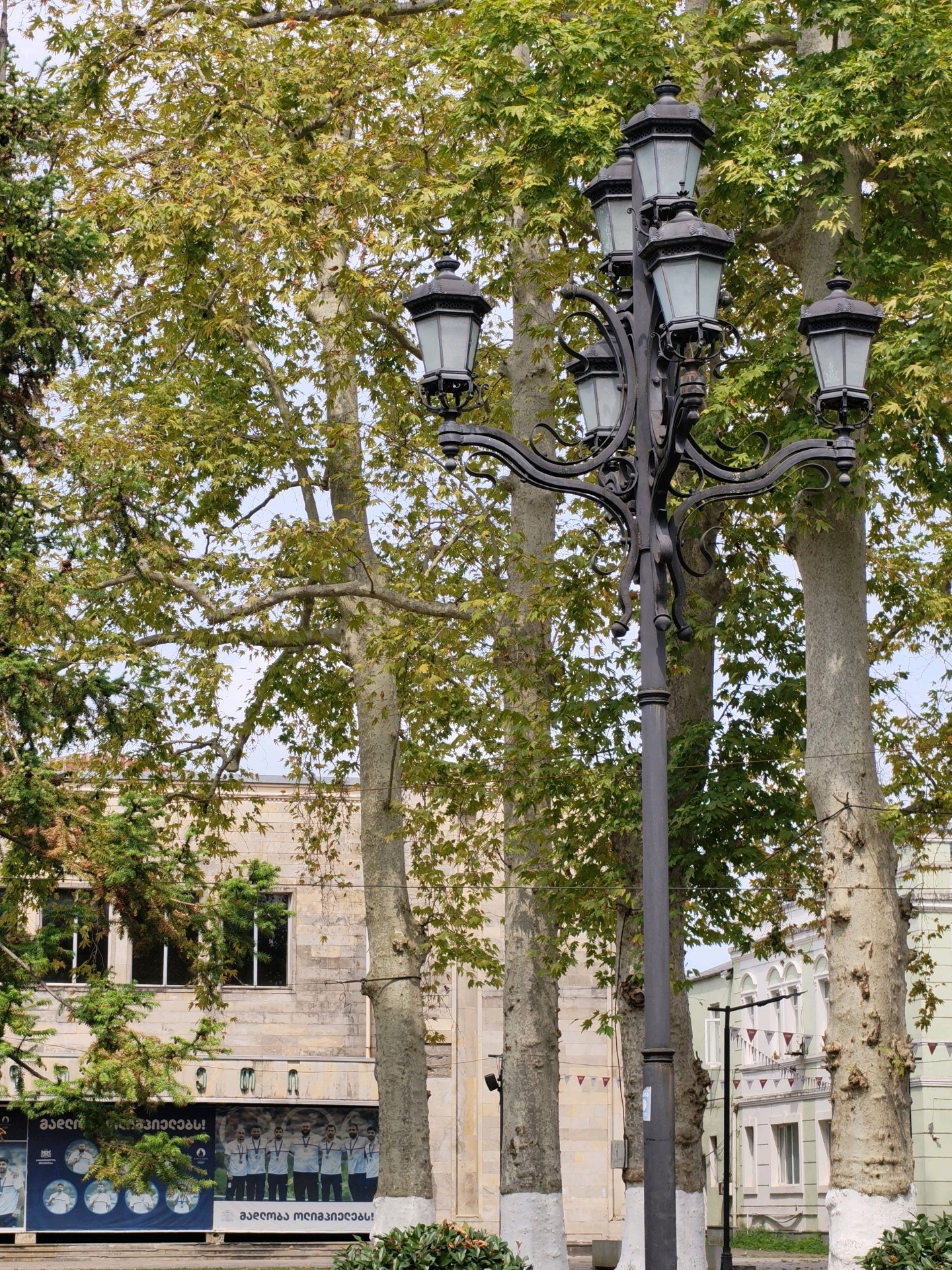 A multi-lamp lamppost stands prominently in the foreground, adorned with ornate metalwork and five glass lanterns. Behind it, several large trees with light-colored bark and green foliage frame the scene. To the left, a light-colored building with a stone facade and large windows is visible, partially obscured by trees. A large banner with images of athletes wearing medals hangs on this building. To the right, another building with a light green facade and white trim, featuring arched windows and decorative bunting, can be seen. The overall environment appears to be a public space or street in Ozurgeti, Georgia, characterized by mature trees and architectural elements typical of a town.