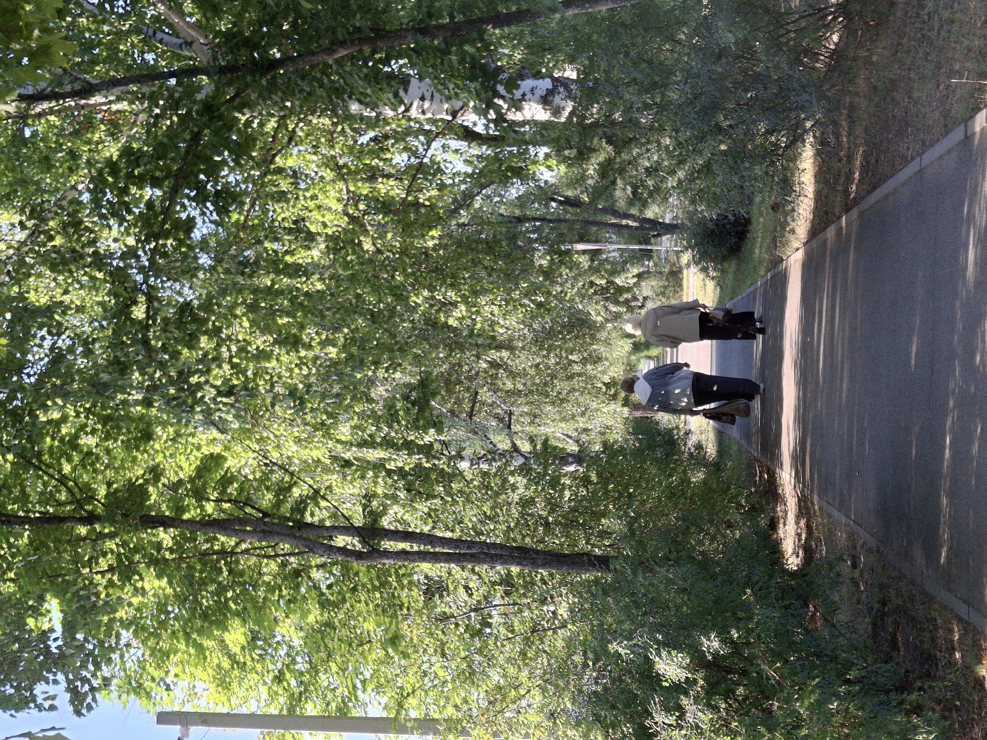 Two women are walking away from the camera on a paved path through a park-like area lined with trees. The woman on the left is wearing a blue-grey hooded jacket and dark pants, and she is carrying a dark bag in her left hand. The woman on the right is wearing a light-colored jacket and dark pants, and she is carrying a brown bag in her right hand. The path is shaded by the trees, creating dappled light on the ground. The trees have green foliage, suggesting it is summer or early autumn. In the background, more trees and some vegetation are visible. The scene appears to be a public walkway.