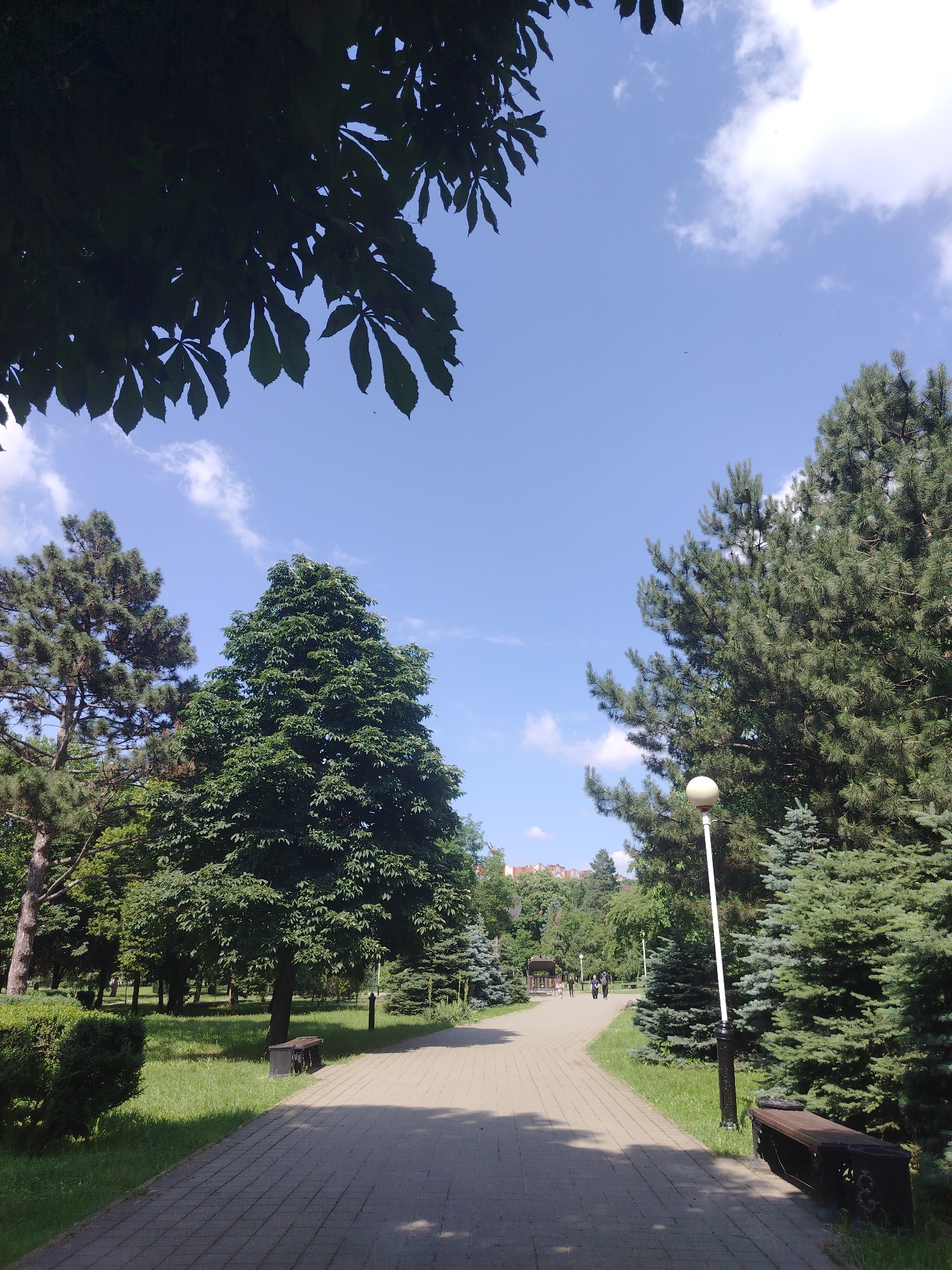 The image depicts a park pathway in Krasnodar, Russia, on a clear, sunny day. The pathway, paved with light-colored rectangular stones, meanders through a verdant park. Flanking the path are manicured lawns and a variety of trees, including tall pines and a large deciduous tree with broad leaves in the center. On the right side of the path, a dark-colored bench is visible, and a lamppost with a round, white light fixture stands nearby. Further down the path, several people can be seen walking in the distance. The sky is a vibrant blue, dotted with a few fluffy white clouds. The overall scene conveys a sense of tranquility and natural beauty within an urban setting.