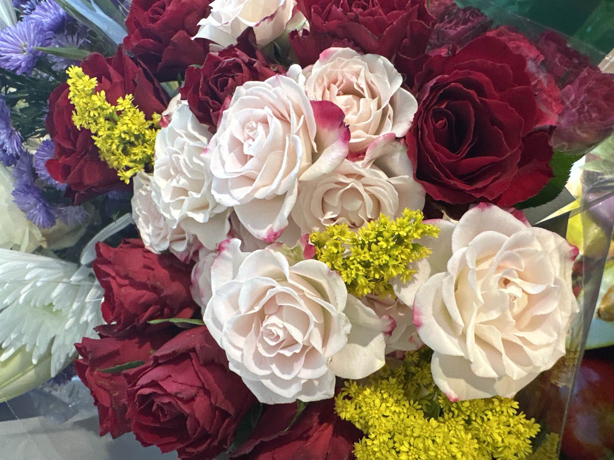 A close-up, overhead shot features a bouquet of roses in varying shades of red, white, and pink, interspersed with bright yellow filler flowers and some purple asters. The roses are lush and in full bloom, with layers of delicate petals. The bouquet is wrapped in clear cellophane, which reflects some light and hints at the presence of other objects underneath, possibly more flowers or a vase. The background is blurred, suggesting the bouquet is the primary focus. The image is lit from above, casting soft shadows that highlight the texture of the rose petals and the delicate structure of the filler flowers. There are no people or identifiable landmarks in the image, and no indication of a specific location within a city.