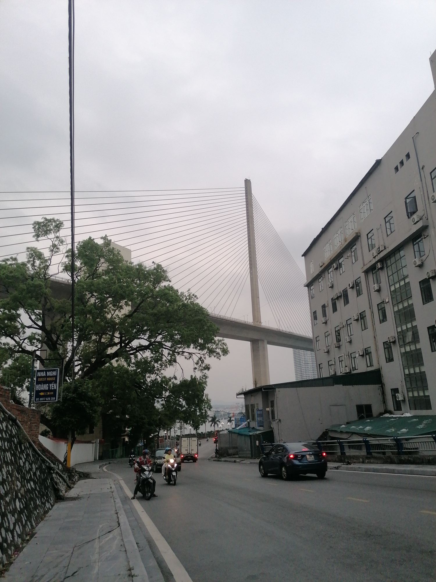 This image depicts an active urban street scene in Bai Chay Ward, Vietnam, under an overcast sky. A large, modern cable-stayed bridge with a prominent tall pylon and numerous radiating cables spans across the background, partially veiled by the cloudy conditions.
In the foreground on the left, a mature tree with dense green foliage frames the scene, with its branches extending towards the center. Below the tree, a black and white sign is clearly visible, displaying "NHÀ NGHỈ GUEST HOUSE HOÀNG YẾN" and a phone number "ĐT: 0977 628 358". A stone retaining wall with a paved sidewalk runs alongside the curving road on the left, while a utility pole stands tall near the left edge.
The asphalt road in the midground is occupied by several vehicles. Multiple motorbikes, ridden by individuals wearing helmets, are prominent, some seemingly stopped. A dark blue sedan is also present, moving away from the viewer. Further down the road, a white truck can be seen, and a traffic light appears to be red, suggesting current traffic conditions.
On the right side of the street, a multi-story, light-colored building with numerous windows and visible air conditioning units lines the road. Below it, a smaller structure with a green roof is also present. The soft, diffuse light from the overcast sky suggests a cloudy day, possibly during the morning or late afternoon. The combination of local architecture, motorbikes, and the specific text on the sign provides strong location cues consistent with Vietnam.