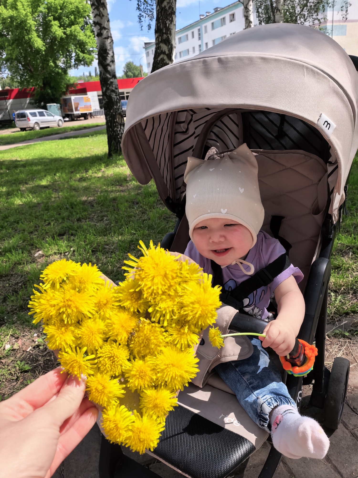 In a sunlit outdoor setting, a baby sits in a stroller, holding a bouquet of dandelions. The baby, wearing a light-colored hat with heart patterns and a purple shirt, looks towards the camera with a smile. The stroller is beige with black accents. In the foreground, a hand holds the dandelions arranged in a heart shape. The background shows green grass, trees, a building, and a parked car, suggesting an urban park or residential area. The location is identified as Sterlitamak, Russia.
