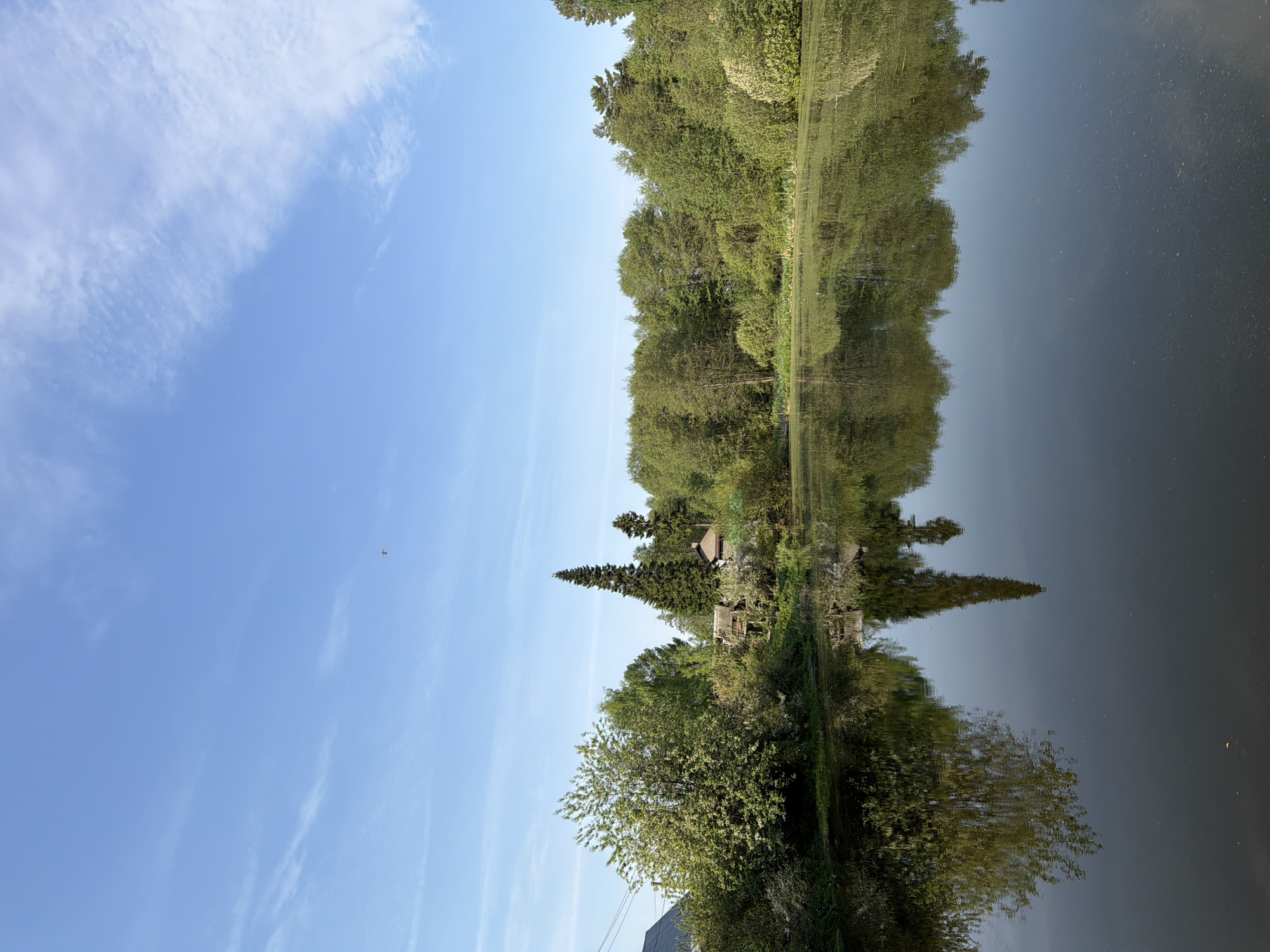 The image shows a body of water reflecting trees and vegetation on its banks. The sky is blue with sparse clouds. A small object, possibly a bird or insect, is visible in the sky. Some power lines and the corner of a building are visible on the bottom left of the image. The location is most likely in or near the city of Chaikovsky, Russia.