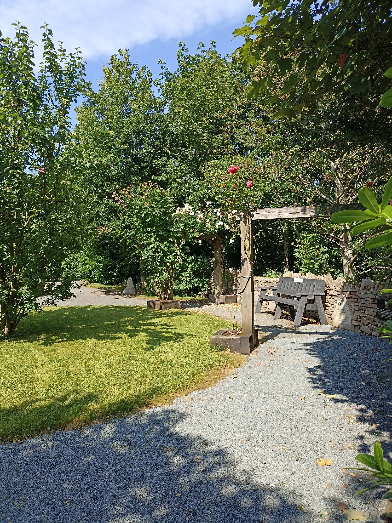 A sunlit outdoor scene features a gravel pathway leading past a neatly mown grassy area to a weathered wooden bench situated against a low stone wall. The bench, made of dark wood, is positioned beneath a rustic wooden archway draped with climbing roses, some in bloom with pink and white flowers. To the left, a young tree with green leaves and a few small red fruits stands. Beyond the bench and stone wall, dense green foliage forms a natural backdrop, with the tops of tall trees reaching towards a bright blue sky with scattered white clouds. The overall setting appears to be a tranquil garden or park area.