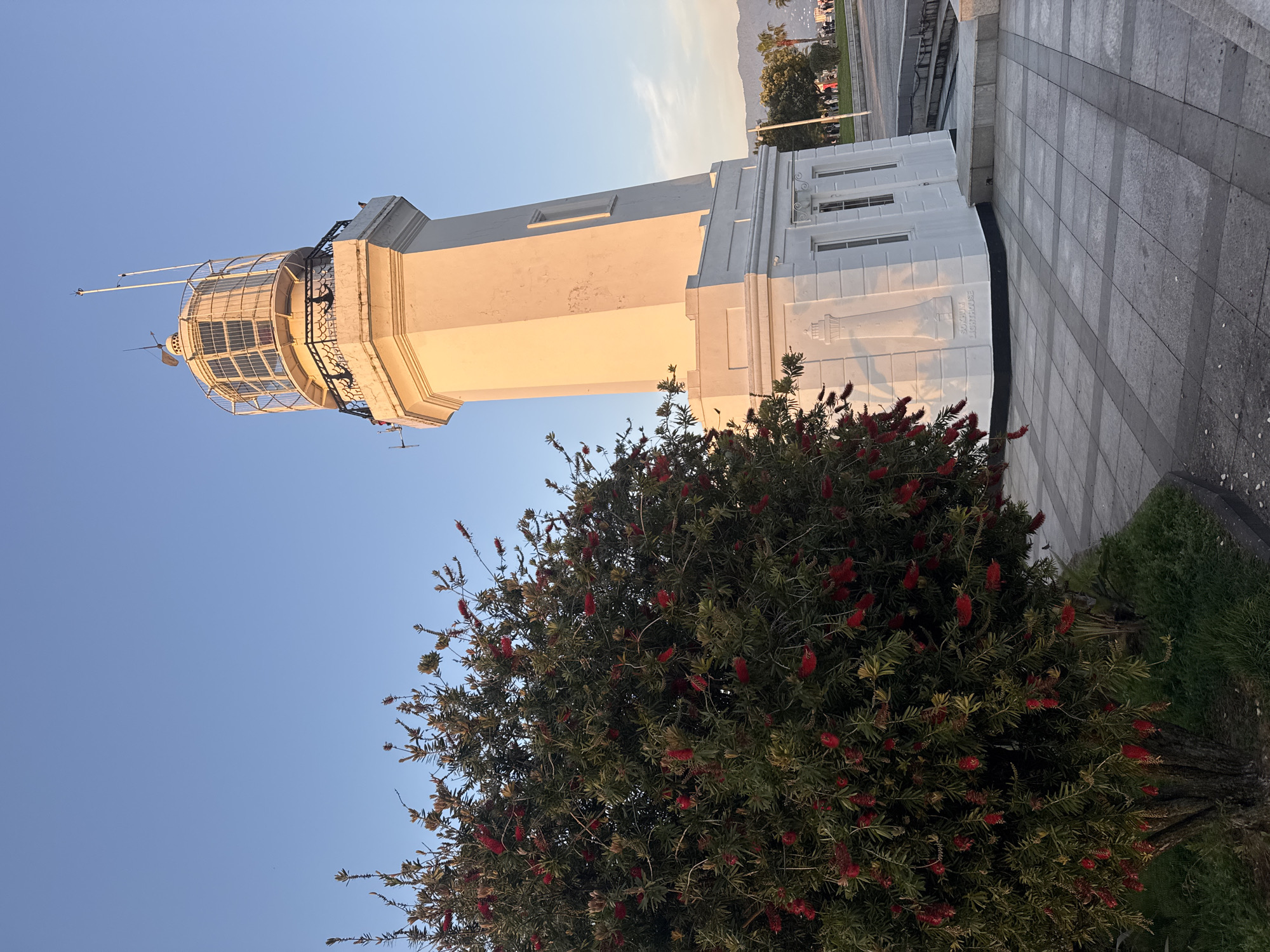 The image shows the Seacliff Lighthouse in Dunedin, New Zealand. The lighthouse is a white, multi-story structure with a cylindrical tower topped by a lantern room. It stands next to a building with architectural details. A bottlebrush tree with red flowers occupies the foreground, partially obscuring the lower portion of the lighthouse. The sky is clear and blue, indicating a sunny day. Paved ground is visible next to the lighthouse building. In the background, distant mountains and a small section of a road with parked vehicles are visible.