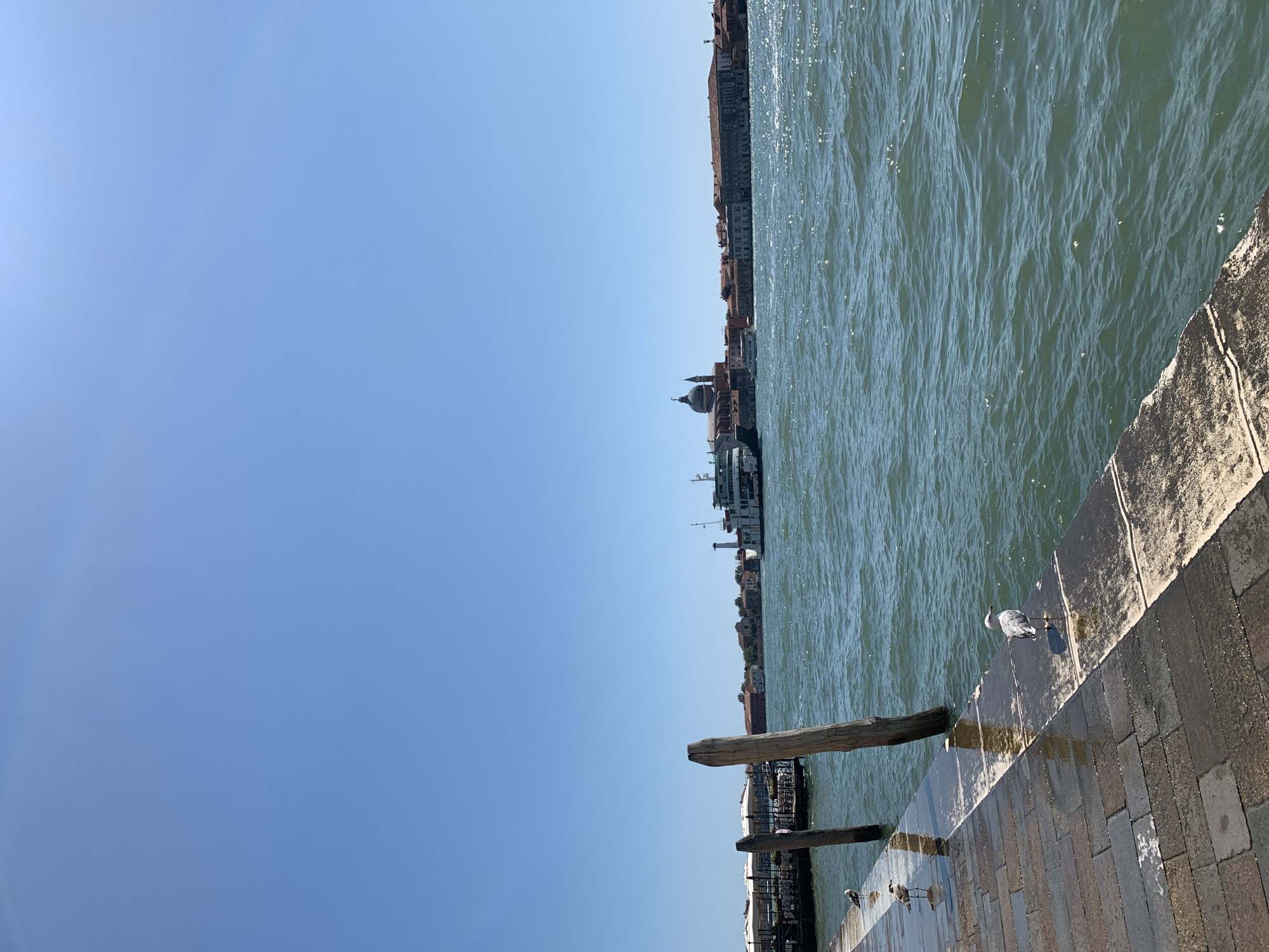 In Venice, Italy, on a bright, clear day, a canal scene unfolds. The foreground features a stone walkway with weathered planks and several wooden poles jutting out from the water. Three seagulls are present, one standing on the walkway and two others nearby. The water is a deep green, with visible ripples and sun glints. In the distance, a ferry boat travels across the water. Along the horizon, a line of buildings with red-tiled roofs forms the cityscape. One prominent building features a domed structure. The sky above is a vibrant, cloudless blue.