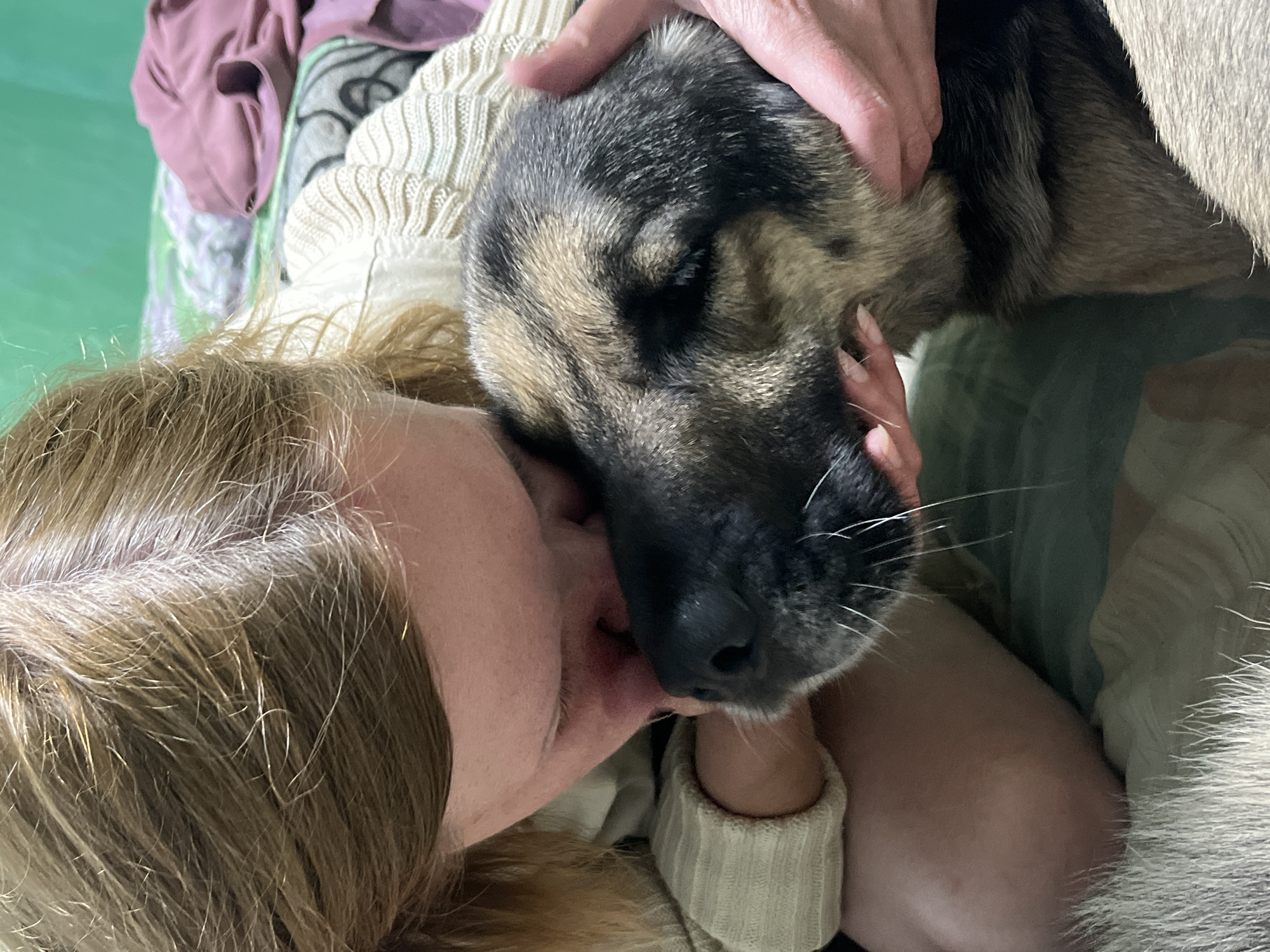 A close-up, head-on shot shows a young woman with blonde hair nuzzling a German Shepherd dog. She is wearing a cream-colored sweater. The dog has a black and tan coat and is held by the woman's hands. They are on a bed with a green background and rumpled blankets. The image is taken in an indoor setting. The location is not specified in the image.