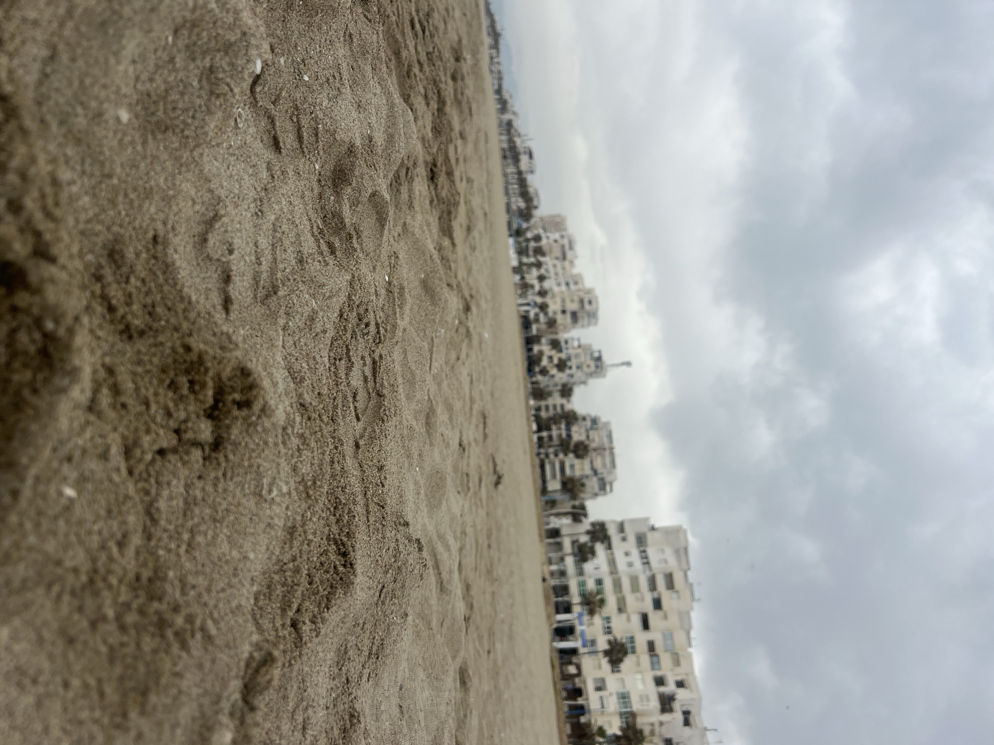 This image captures a low-angle perspective of a beach scene in Martil, Morocco, under an overcast sky. The foreground is dominated by a close-up view of the sandy beach, showing individual grains and slight undulations, indicating a natural, somewhat undisturbed surface. The sand is a light brown, earthy tone.
Stretching into the midground and background, parallel to the viewer's line of sight, is the expanse of the beach, leading towards a discernible horizon line. Along this horizon, a series of multi-story buildings line the coast. These structures appear predominantly white or light-colored, featuring numerous windows and balconies, suggestive of residential or holiday accommodations. Some small palm trees are visible between the buildings, adding a touch of greenery to the urban landscape.
The sky is filled with dense, grey clouds, indicating an overcast day with no direct sunlight. The overall atmosphere is calm and muted due to the cloudy conditions. There are no people or specific activities visible in the frame, and no discernible text. The composition emphasizes the texture of the sand in the foreground and the linear arrangement of the buildings against the cloudy backdrop.