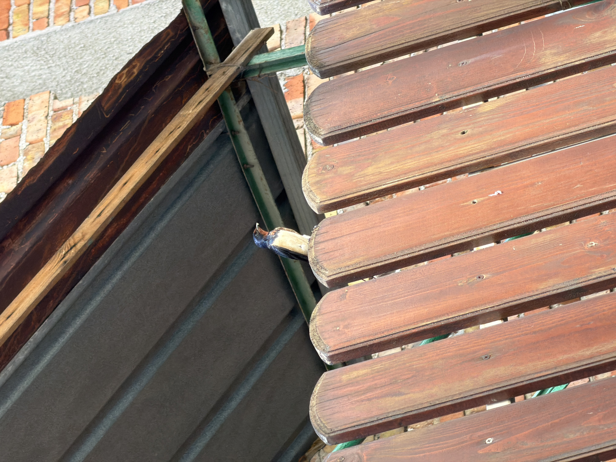 A barn swallow is perched on top of a wooden fence in Burgas, Bulgaria. The fence is made of vertical wooden planks, stained a reddish-brown color. Above the fence, there is a metal roof structure supported by green metal posts. In the background, a brick wall is visible. The image appears to be taken outdoors during the daytime.