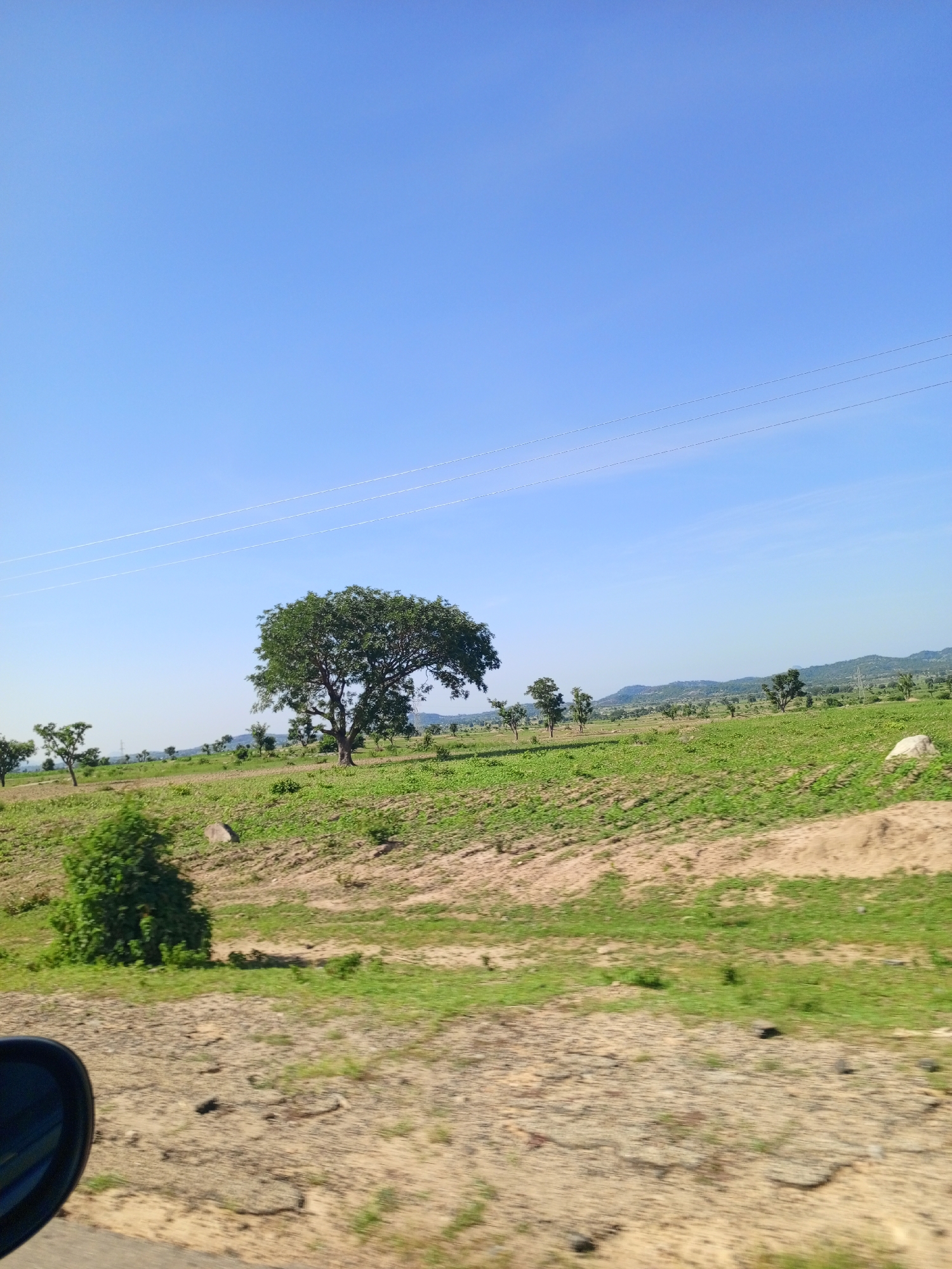 The image depicts a rural landscape under a clear blue sky, likely in the vicinity of Jama'a, Nigeria. The foreground shows a dirt road with scattered stones and debris, partially visible on the left is a car's side mirror. Beyond the road, a gently sloping green field stretches towards the horizon, dotted with several trees. A prominent, large tree stands in the middle ground, its canopy full and green. In the distance, rolling hills are visible, suggesting a mountainous or hilly terrain. Power lines are strung across the sky. The environment is natural and undeveloped, consistent with a rural setting. There are no people or animals visible in the frame.