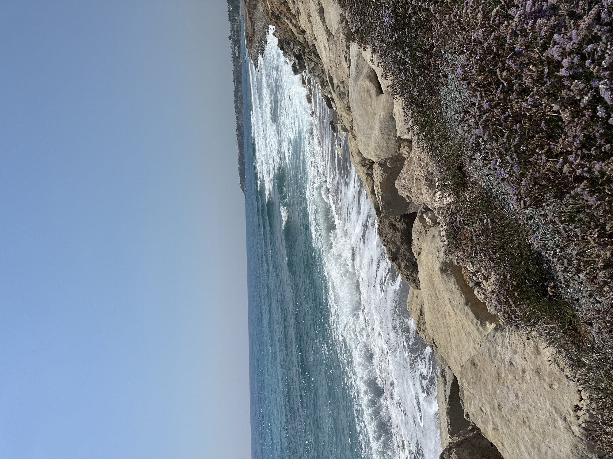 A long shot captures a Mediterranean coastline in Kissonerga Community, Cyprus, under a clear, pale blue sky. The foreground features a rocky embankment dotted with low-lying plants bearing small, pale purple flowers. These rocks transition into larger, beige-colored boulders as they meet the water's edge. The sea is a vibrant turquoise, with white-capped waves breaking against the shore, creating a foamy, white surf. Beyond the immediate coastline, the water stretches to the horizon, with a faint hazy line of distant landmass visible on the left, suggesting a settlement or town along the coast. The overall scene is one of natural coastal beauty, bathed in bright daylight. There are no people or animals visible in the image.