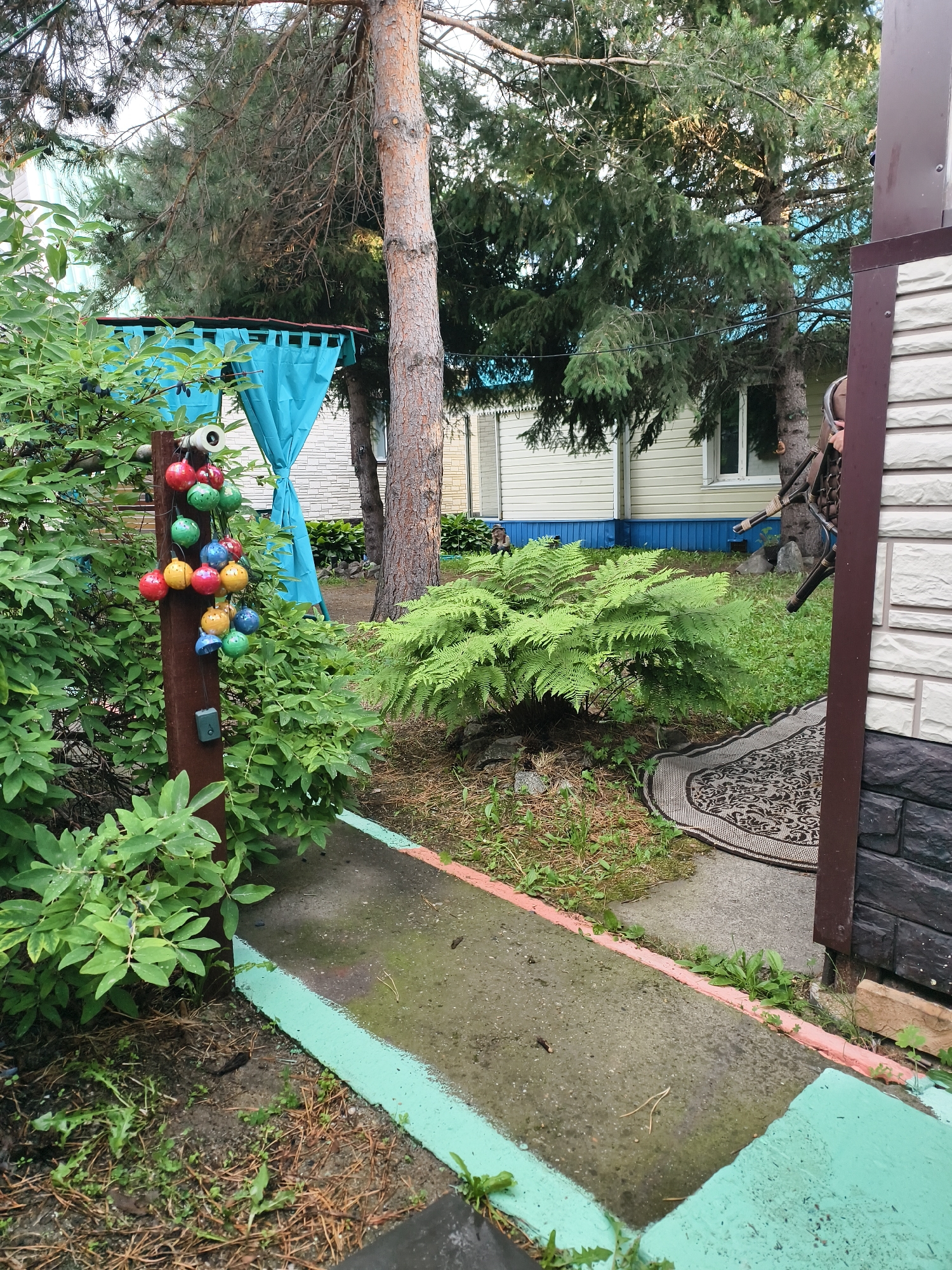 An outdoor medium shot captures a backyard scene with a focus on a wooden post adorned with colorful, spherical ornaments and a security camera. The post stands amidst lush green foliage, including bushes and ferns. A concrete path, bordered by painted edges in turquoise and pink, leads into the frame. In the background, a building with light-colored siding and blue trim is visible, partially obscured by mature trees, including a tall pine. A dark rug with an ornate pattern lies on the ground near the building. The overall impression is a residential outdoor space with a touch of whimsical decoration.