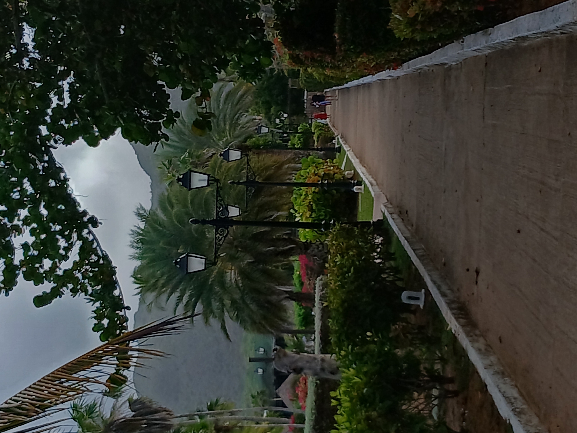 The image depicts a pathway in Playa El Agua, Venezuela, bordered by lush vegetation and illuminated by decorative street lamps. A few people are seen walking along the path. Palm trees and other tropical foliage dominate the landscape, with a hazy mountain range visible in the background. The sky is overcast, suggesting a possibly cloudy or rainy day. The pathway itself appears to be made of concrete or a similar material, with a white border along its edges. The scene conveys a tranquil, resort-like atmosphere.