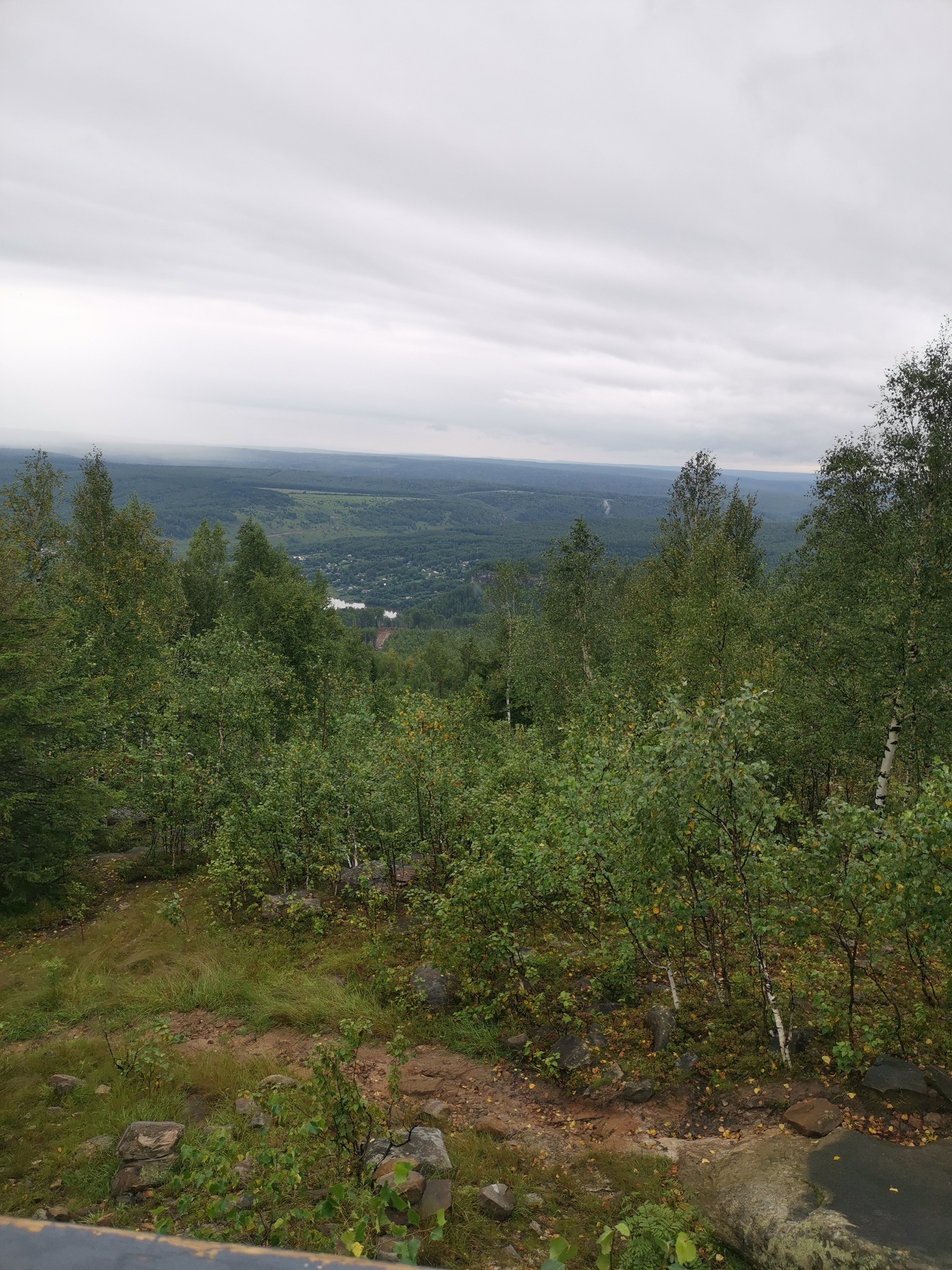 The image depicts a panoramic view from a forested elevation overlooking a valley. In the foreground, the scene is dominated by a dense cluster of birch trees with green foliage, some exhibiting yellowing leaves, indicating an autumn season. The ground is a mix of soil, grass, and rocks, with fallen leaves scattered about. The terrain appears somewhat uneven and rocky.
Further into the middle ground, the trees thin out to reveal a vast valley. A settlement is visible in the valley, characterized by numerous houses and what appears to be a body of water, possibly a lake or river, reflecting the overcast sky. The valley is surrounded by rolling hills covered in a dense, dark green forest. The distant horizon is shrouded in haze, with layers of undulating hills fading into the subdued light of the cloudy sky.
The sky is heavily overcast with a uniform layer of gray clouds, suggesting a cool, possibly damp, day. No people or animals are visible in the image. The overall impression is one of a natural, somewhat wild landscape, with a human settlement nestled within the expanse of forests and hills. The location is identified as Mount Kripun, near the city of Gubakha, Russia.