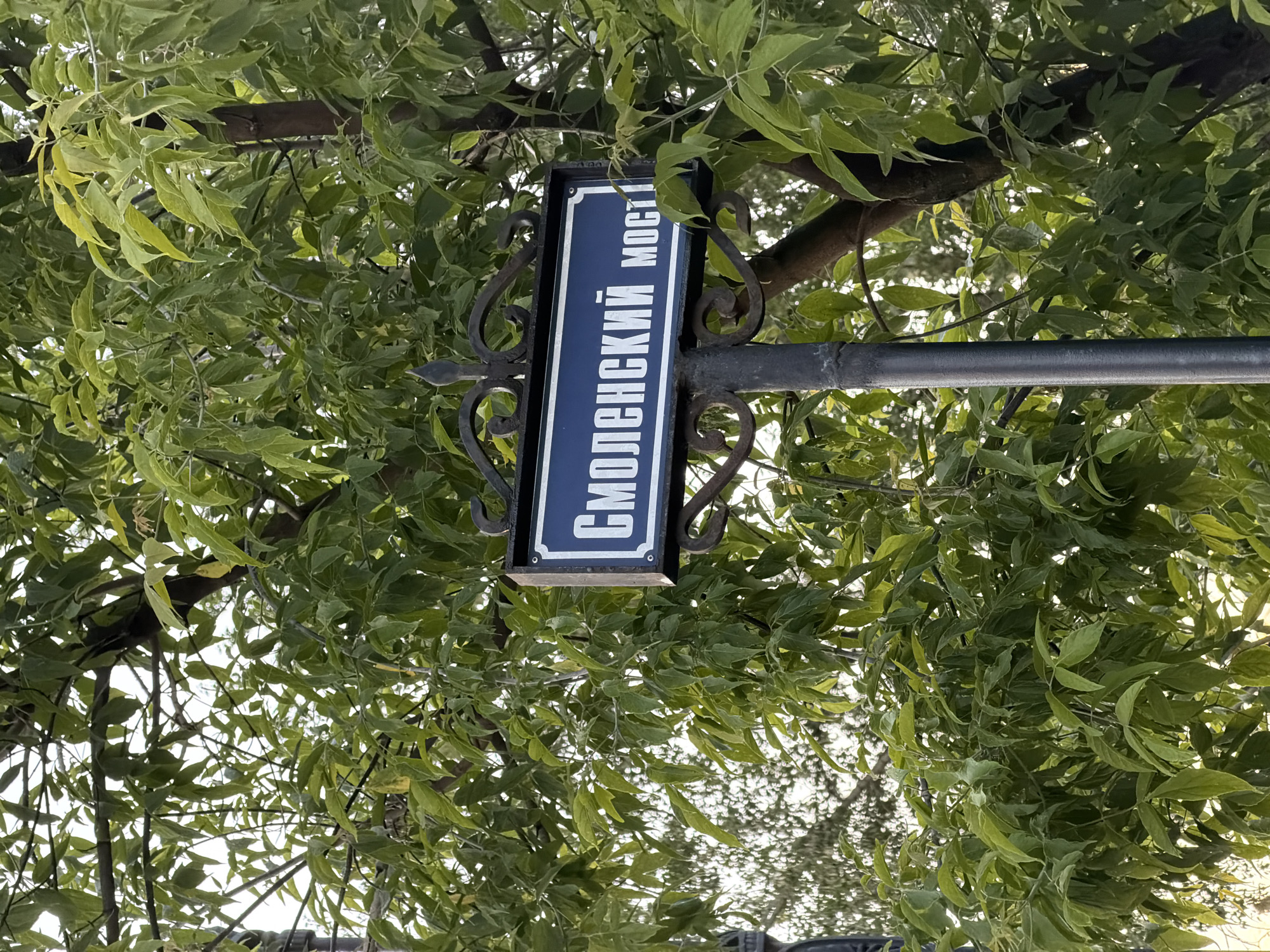 The image shows a street sign in Saint Petersburg, Russia, reading "Смоленский мост" (Smolensky Bridge). The sign is dark blue with white lettering and is mounted on a black metal pole adorned with decorative scrollwork. The sign is partially obscured by lush green foliage from trees. The background consists of more trees and a bright sky, suggesting an outdoor setting. The lighting indicates it is daytime, possibly late afternoon or early morning due to the soft light. The overall impression is of a street scene in a leafy area of the city.