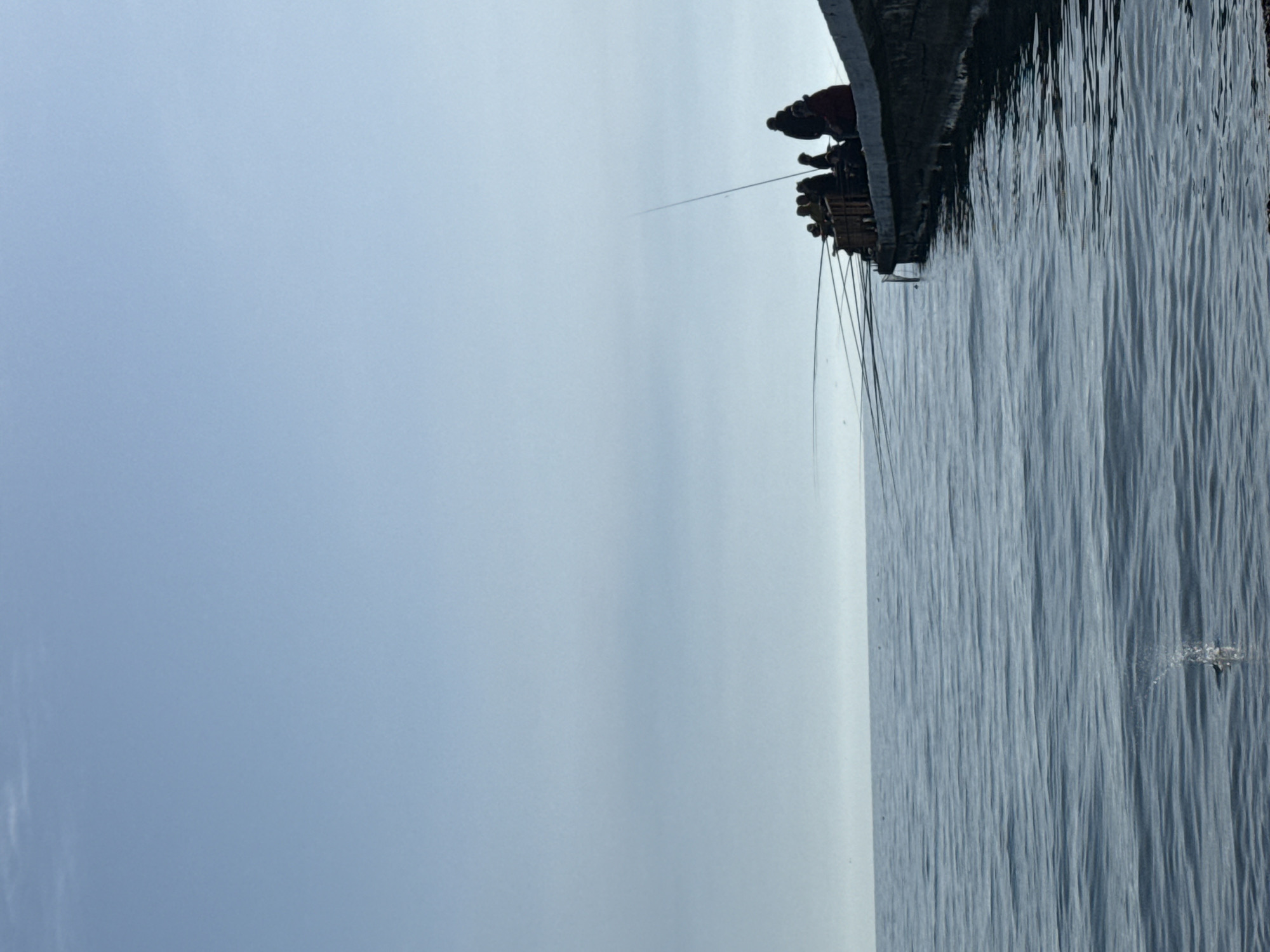 The image, when properly oriented, depicts a serene maritime scene with a boat or narrow platform positioned along the right side, extending vertically from top to bottom. It sits on a calm body of water that stretches out to meet a vast, pale blue-gray sky.
Several small figures are visible on the boat/platform. One individual, notably wearing a red garment or hat, is distinct. Numerous thin lines, which appear to be fishing lines, extend from the structure down into the water, suggesting that the primary activity is fishing.
The water surface is characterized by gentle, parallel ripples, indicating calm conditions. Towards the lower right of the water, a distinct splash and a dark shape are visible, hinting at a marine animal, possibly a fish, breaking the surface. The sky is uniformly light blue-gray, suggesting an overcast or hazy day, which contributes to the soft, diffused lighting across the entire scene. The expansive water and sky convey a sense of openness and tranquility. There is no visible text in the image.