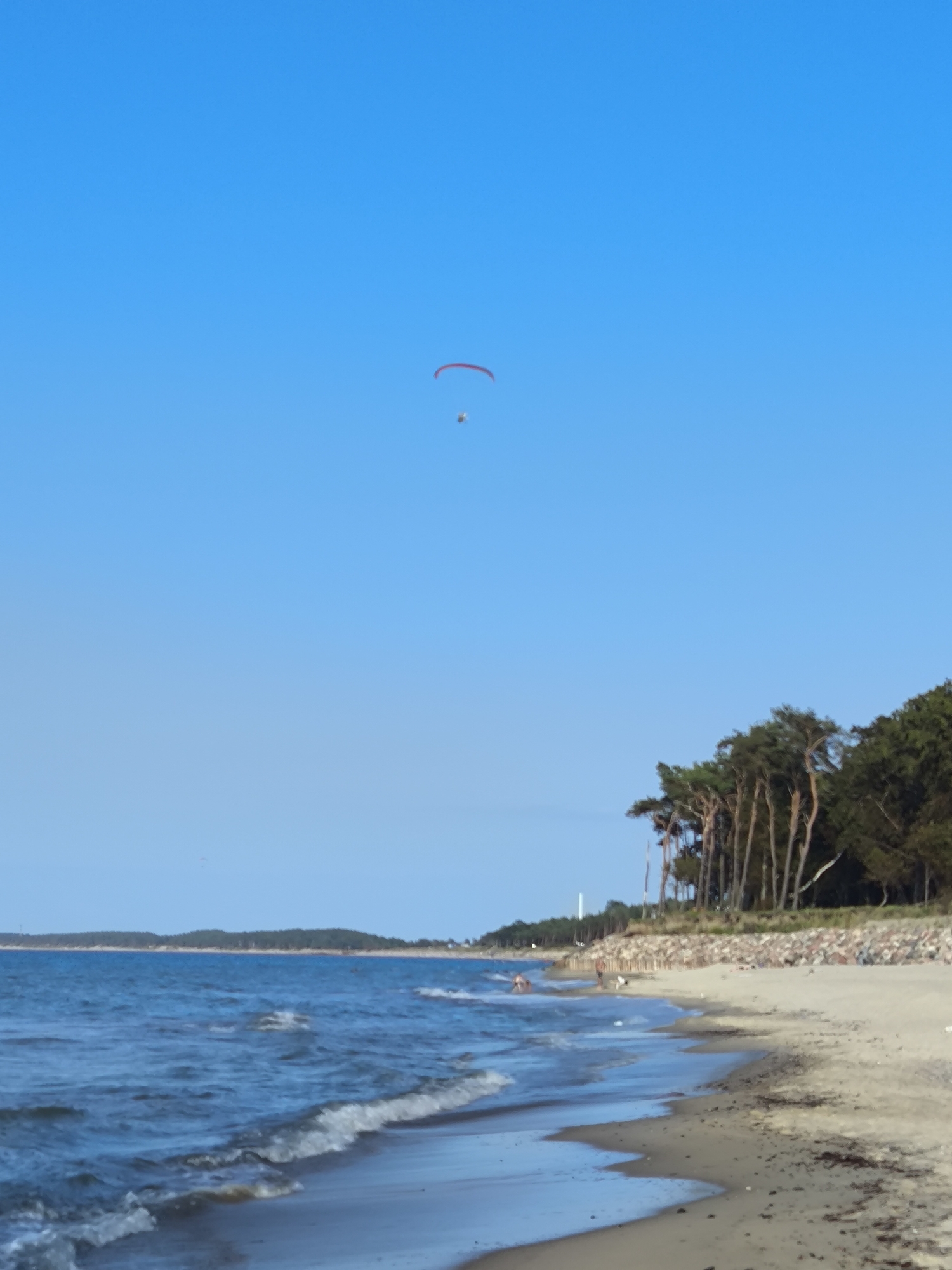 The image depicts a tranquil beach scene under a clear blue sky. In the distance, a paraglider is visible, suspended against the vast expanse of the sky. The shoreline is bordered by a dense line of tall trees, their silhouettes stark against the horizon. The ocean stretches out, its waves gently lapping at the sandy beach, where a few individuals can be seen enjoying the seaside. This scene is consistent with the coastal areas of Kulikovo, Russia, known for its natural beauty and recreational opportunities.