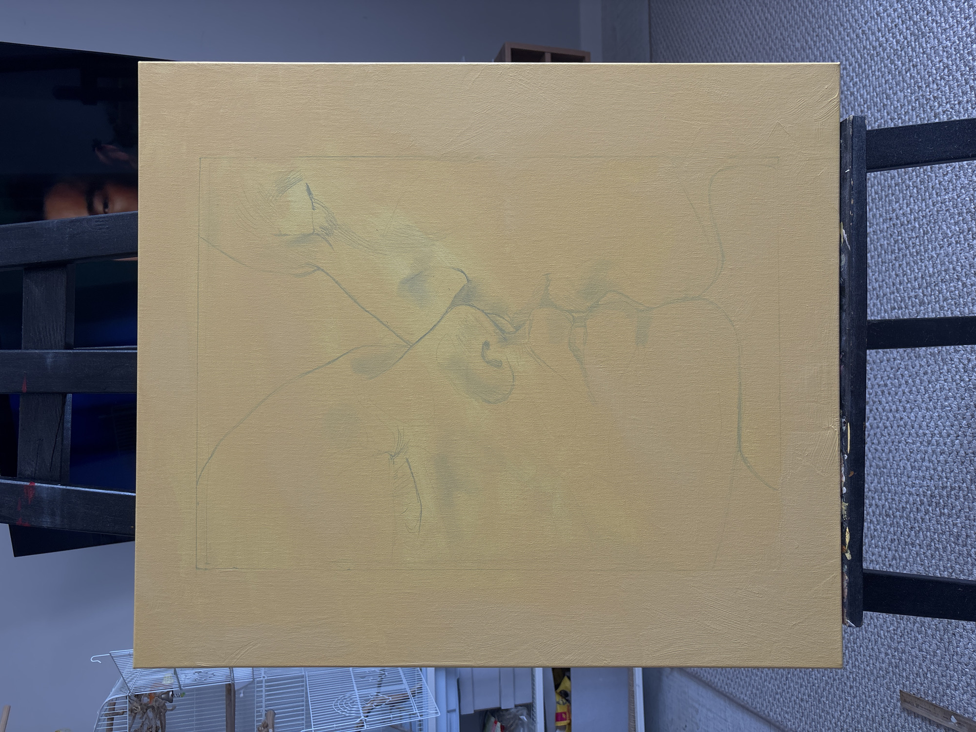 The image captures an indoor art studio setting in Krasnoyarsk, Russia, centered around a canvas awaiting completion. A rectangular canvas, primed with a light yellow-beige gesso, is prominently displayed on a black metal easel.
On the canvas, a delicate preliminary sketch, likely in pencil or light charcoal, depicts a figurative composition. The faint lines suggest intertwined human forms, possibly a tender embrace or closely connected faces, evoking a sense of intimacy or introspection. A thin rectangular border is also lightly drawn around the central sketch area on the canvas.
In the upper left background, a dark, reflective surface, possibly a television screen or monitor, reveals a partial reflection of a person's eyes and forehead, looking towards the right, implying the presence of an artist or viewer observing the work. Below this reflection, part of a dark, slatted object is visible.
Towards the bottom left corner, a white wire cage, characteristic of a pet enclosure (such as for a bird), is partially visible, containing small branches or twigs. The floor to the right of the easel is covered with a grey, textured carpet or rug. The upper background shows a plain light wall or ceiling, with a small wooden structure partially visible in the top right corner.
The scene conveys a calm and focused environment for artistic creation. There is no visible text in the image.