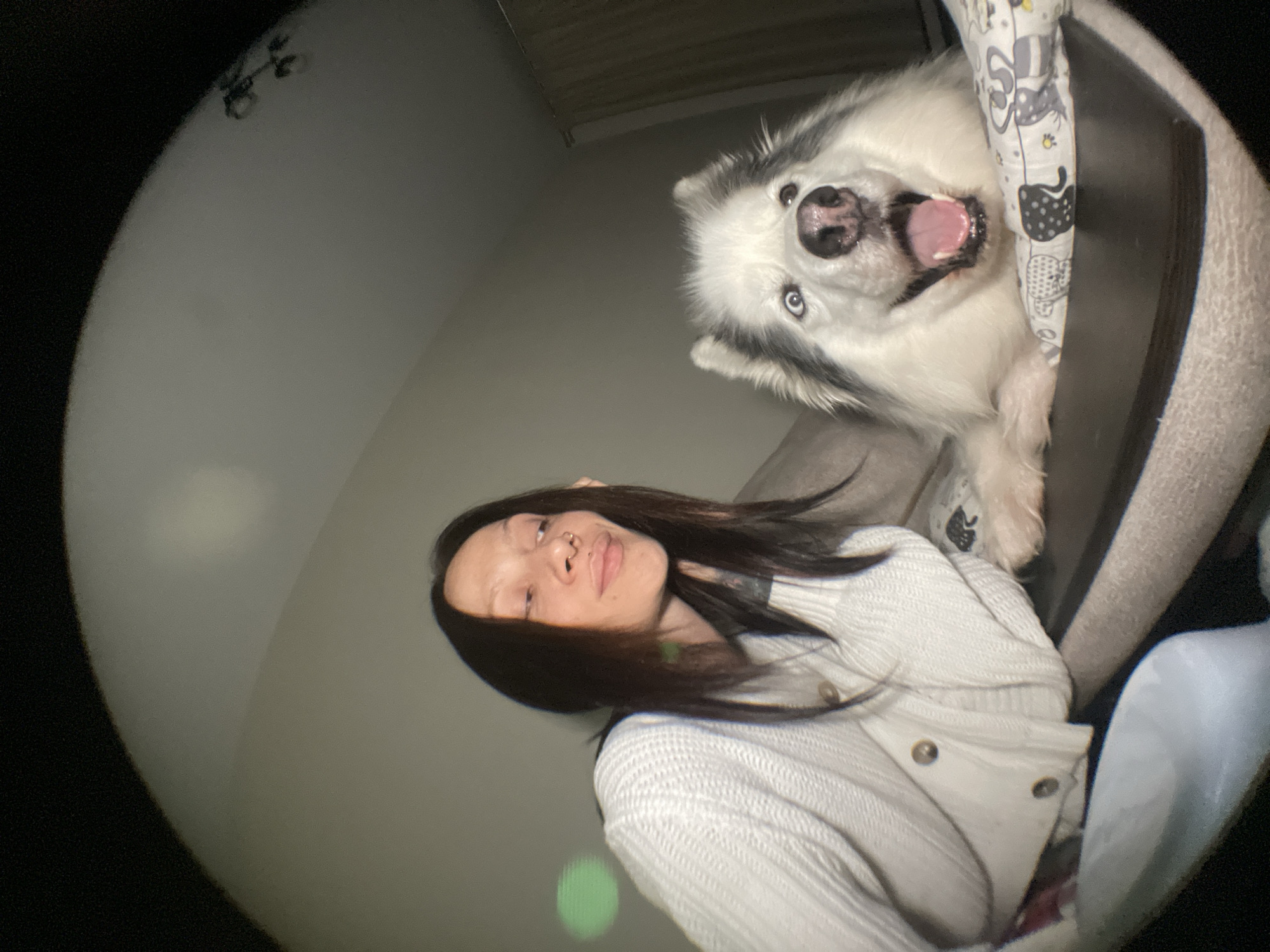 The image depicts a woman taking a selfie with a white and gray husky dog. The woman has dark hair, and a nose ring and is wearing a white cardigan. The husky is in a dog bed. The image has a fisheye effect and is taken indoors. There is nothing in the image to suggest the location is Izhevsk, Russia.