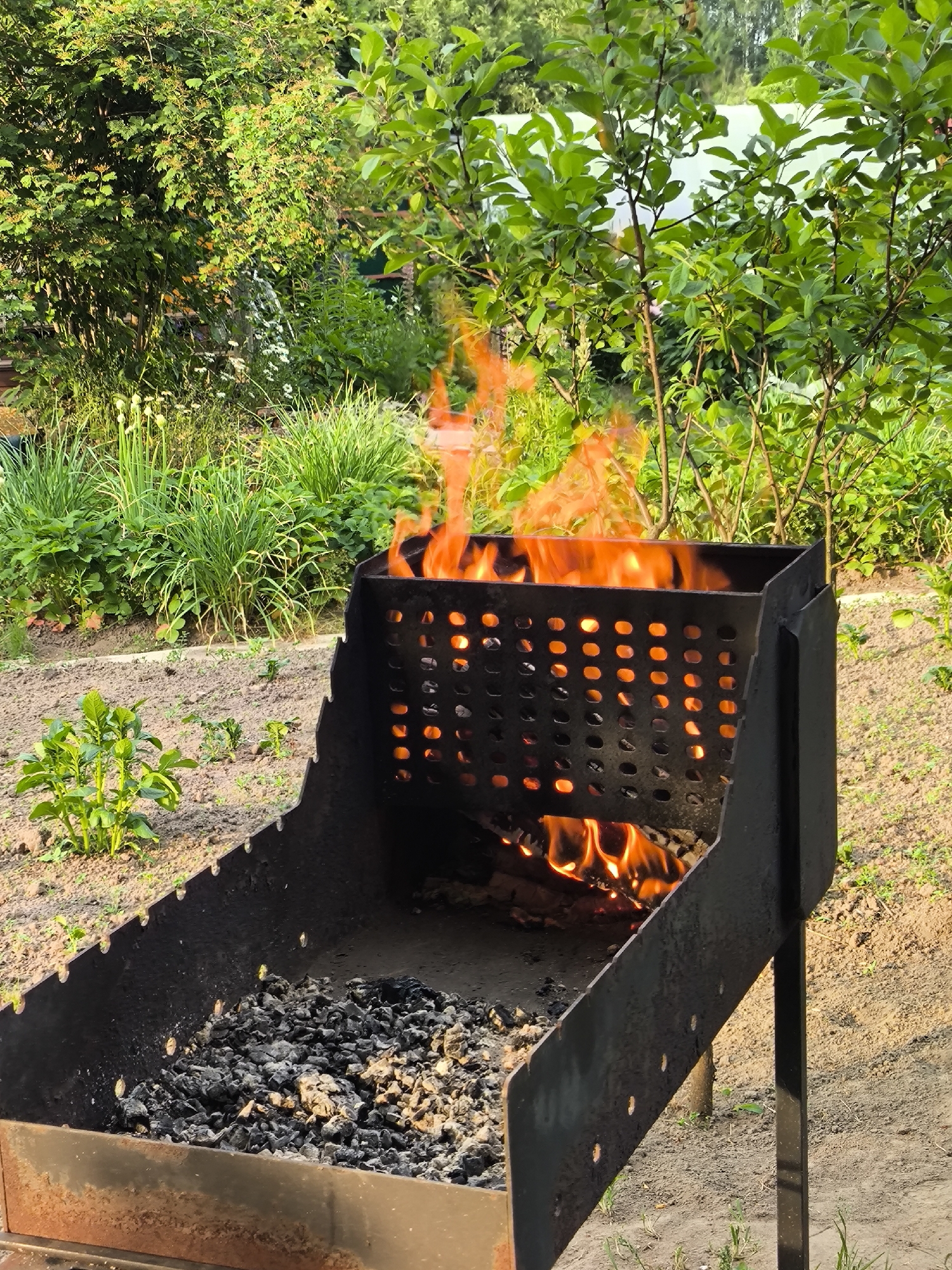 In an outdoor garden setting, a black metal barbecue grill is the central focus. Flames erupt from within the grill, illuminating the perforated sides with a fiery orange glow. Ashes and burnt wood are visible in the bottom of the grill. The grill is positioned on a patch of brown soil, with newly planted green seedlings to the left. The background is filled with lush green foliage, including trees and bushes, suggesting a natural and verdant environment. Sunlight filters through the leaves, casting dappled shadows. The overall scene conveys a sense of summer outdoor activity, possibly preparation for a cookout.