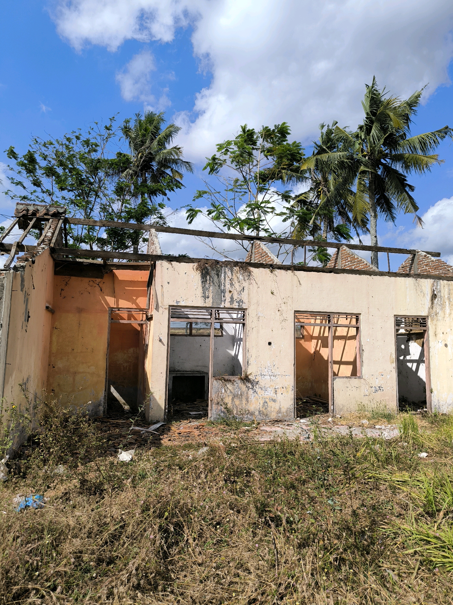 The image shows the exterior of a dilapidated building with a partially collapsed roof and missing windows. The walls are made of concrete, painted a faded peach color, and show signs of wear and tear, with peeling paint and staining. The building appears to be an abandoned house or structure. The interior is visible through the open doorways and window frames, revealing a dark and debris-filled space.
The building is surrounded by overgrown vegetation, including tall dry grass and small plants, indicating neglect. Several palm trees are visible behind the structure, with their fronds reaching towards a bright blue sky dotted with white, fluffy clouds.
The scene suggests a location in a tropical or subtropical climate, possibly rural or semi-rural, given the presence of palm trees and the overgrowth. The overall impression is one of decay and abandonment. While the image is visually striking, it does not provide any direct clues to a specific location within the city of Karanganyar, Indonesia.