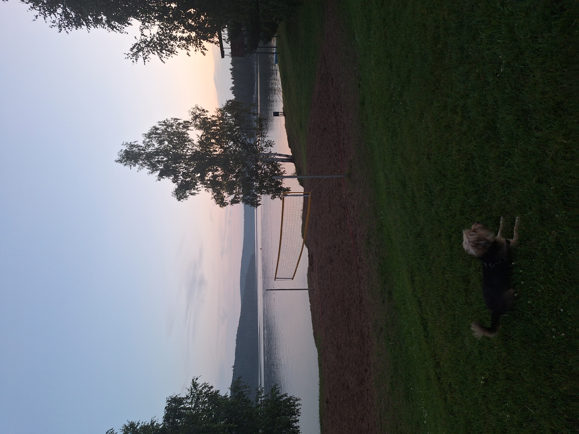 The image depicts a serene lakeside scene at dusk in Atamanovka, Russia. A volleyball net stands on a sandy court situated on a grassy slope overlooking a calm body of water. In the foreground, a small, scruffy dog rests on the grass, facing to the right with its tail curled. The water reflects the soft hues of the fading sky, with a distant forested shoreline forming a dark silhouette. Trees, including a distinctive birch tree, frame the view. The overall atmosphere is tranquil, with the fading light casting long shadows and bathing the landscape in a gentle, dusky glow.