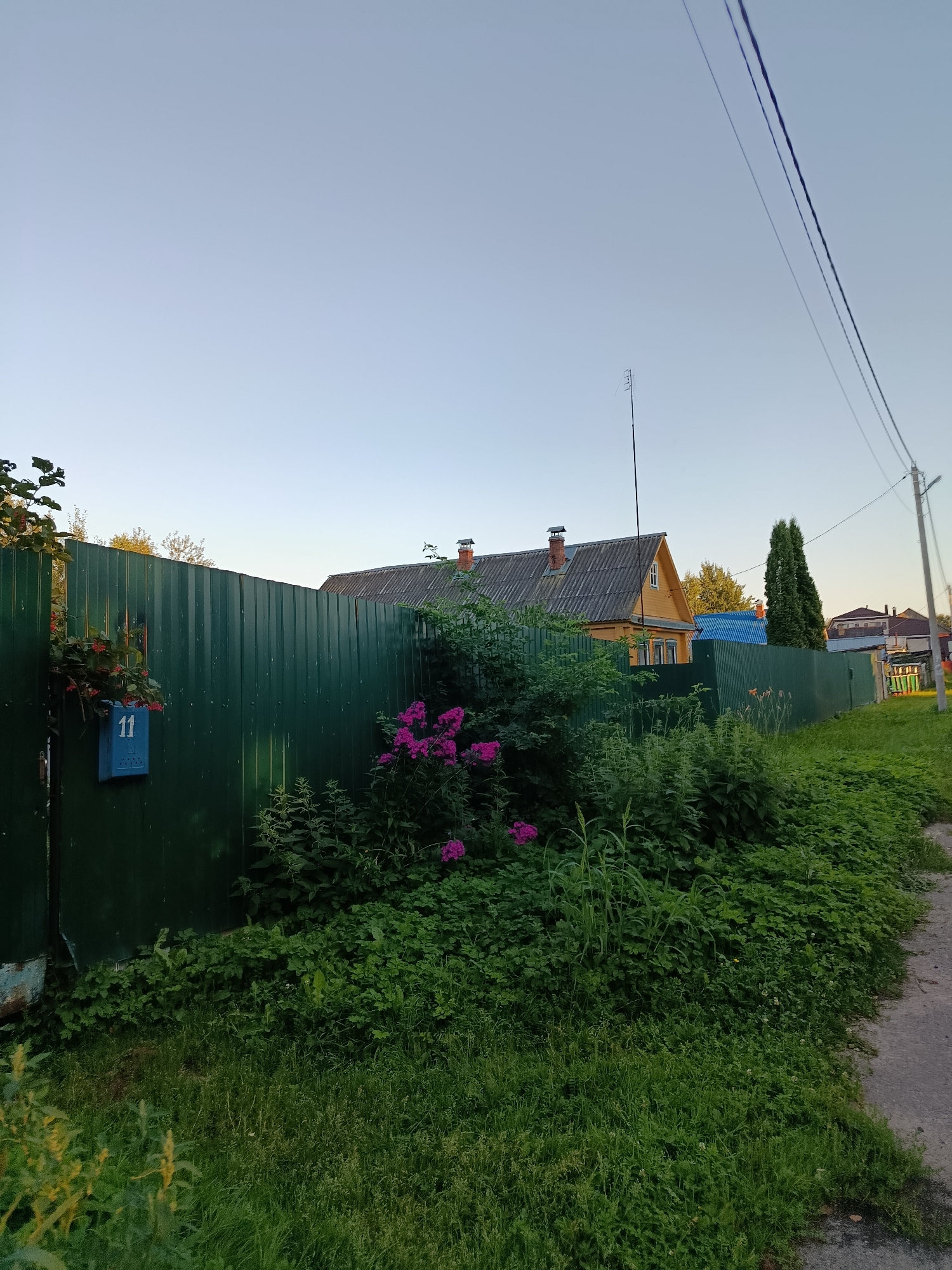 The image depicts a scene on a street in the city of Vereya, Russia, likely during late afternoon or early evening based on the lighting. A dark green, corrugated metal fence runs along the left side of the frame, separating a property from the street. Attached to the fence is a blue mailbox with the number "11" in white. Lush green vegetation, including flowering plants with pink blossoms, grows densely along the base of the fence and encroaches onto the dirt and gravel path that runs along the right side of the image.
Behind the fence, a traditional yellow wooden house with a grey, sloped roof and brick chimneys is visible. The house has multiple windows and appears to be a residential dwelling. In the background, other houses with various roof colors, including blue and brown, can be seen, along with tall evergreen trees and utility poles with wires stretching across the sky. The sky is clear and a pale blue, indicating fair weather. No people are present in the image. The overall impression is of a rural or suburban street with well-maintained but overgrown natural elements.