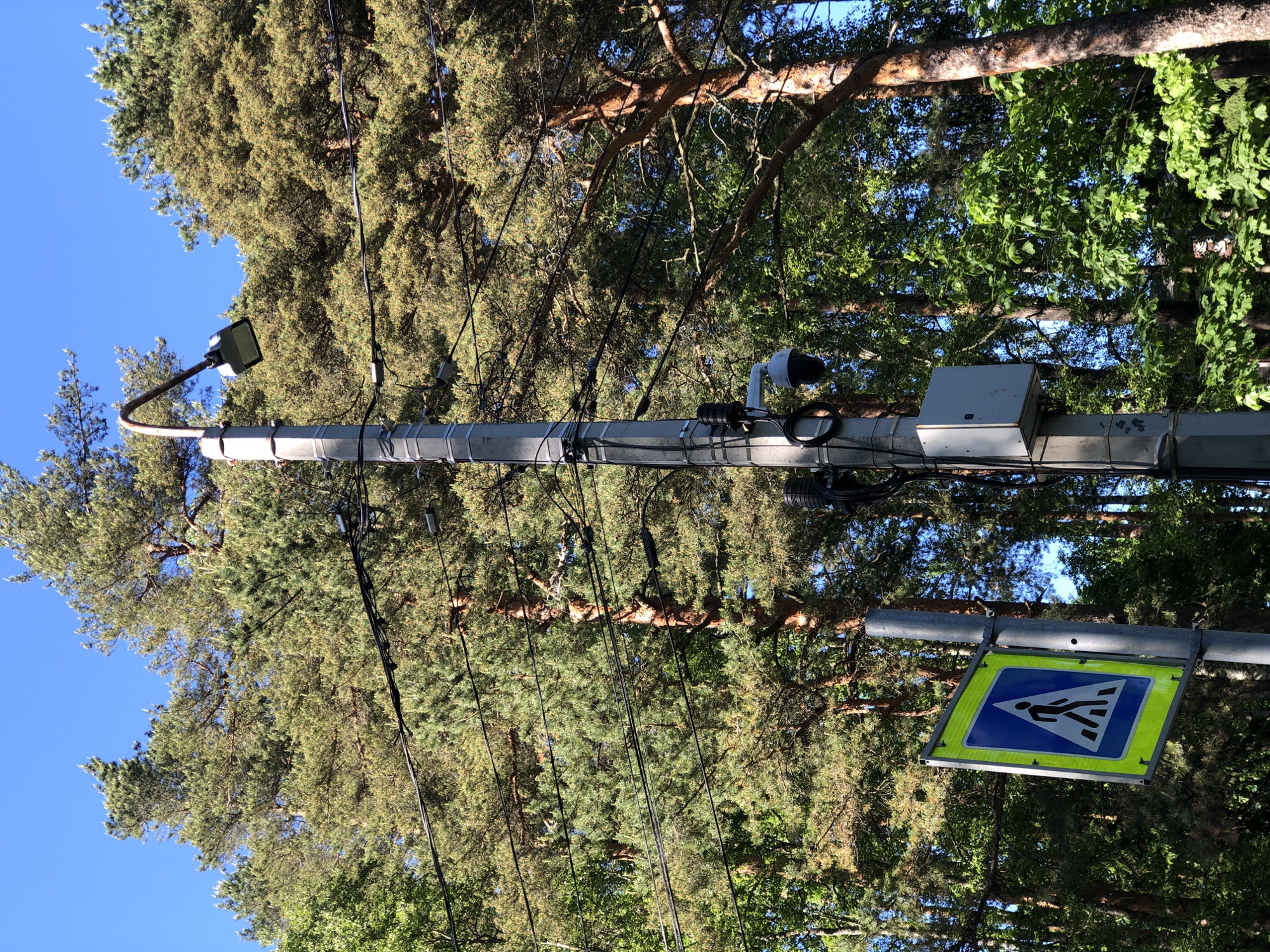 This image depicts an outdoor scene in Solnechnoye, Russia, under a clear blue sky. A tall, light grey utility pole stands prominently in the center, fitted with various attachments. At its apex, a curved metal arm supports a rectangular LED street light, angled downwards. Below the light, multiple black electrical or communication cables traverse the frame horizontally, secured to the pole with various fasteners and components. A white dome-shaped security camera is mounted on the pole beneath the wiring, pointing downwards and slightly to the right. Further down, a light grey rectangular electrical or control box is affixed to the pole.
To the left of the main utility pole, a thinner metal post supports a pedestrian crossing sign. The sign is square, oriented as a diamond, featuring a fluorescent yellow-green border around a blue triangular field containing a white stylized pedestrian figure. The background consists of a dense canopy of trees, primarily pine trees with visible reddish-brown trunks and green needles, interspersed with some lighter green deciduous foliage, all brightly illuminated by direct sunlight. No individuals, animals, or vehicles are present in the frame.