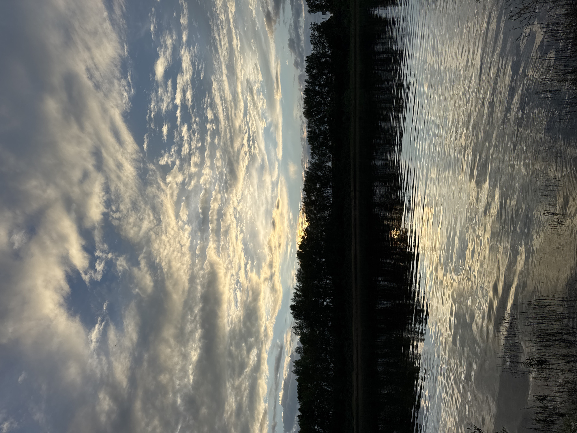 This media file displays a serene natural scene at what appears to be dusk or dawn. The dominant subjects are the sky and water, with a line of trees forming a stark silhouette along the horizon. The sky is filled with dynamic, wispy clouds, rendered in shades of white, grey, and soft yellow, suggesting the sun is low in the sky. The clouds are dramatically illuminated, creating streaks and patterns across the blue expanse.
The water, which occupies the right side of the frame, is calm with gentle ripples that catch the light, reflecting the colors of the sky and the dark treeline. The reflection on the water is detailed, showing the interplay of light and shadow. The treeline is dense and dark, almost appearing as a solid wall against the lighter sky and water. There are hints of vegetation or reeds along the water's edge, adding texture to the scene.
The overall mood is peaceful and contemplative. The low-angled light, the contrasting dark and light elements, and the stillness of the water contribute to a sense of tranquility. The time of day is clearly indicated by the quality of the light and the appearance of the sky and its reflections. The location cues, such as the dense treeline and the specific quality of light, might suggest a temperate climate and a natural setting like a lake or wide river. No people, objects, or visible text are present in the image.