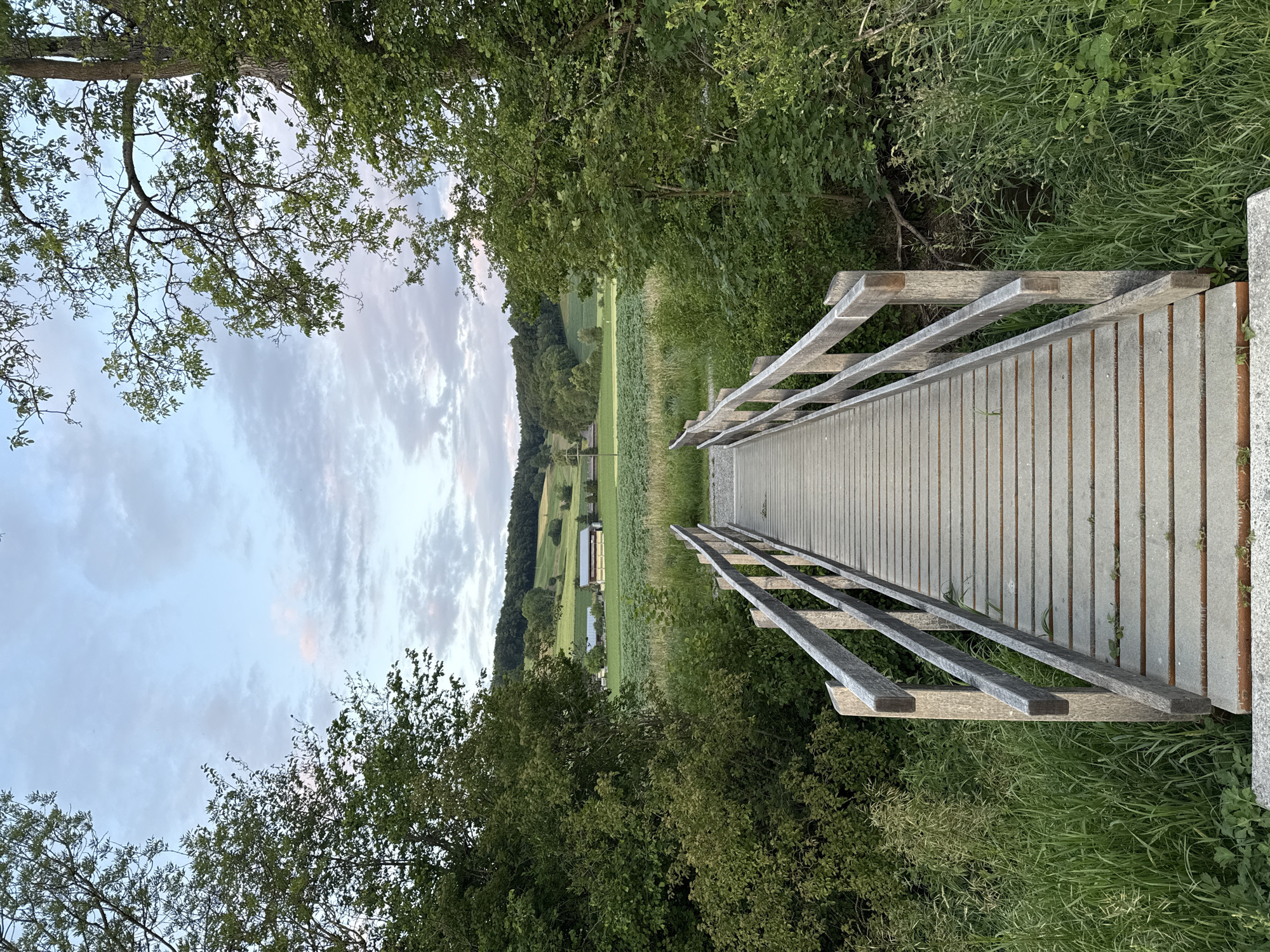 The image depicts a wooden footbridge extending into a rural landscape in Embrach, Switzerland, under an overcast sky characteristic of late afternoon or early morning. The bridge, constructed from light grey, weathered wooden planks and matching handrails, occupies the lower center of the frame, receding towards the horizon. Grass and dense green foliage flank both sides of the bridge, indicating a natural, unpaved path or stream below the bridge. Beyond the bridge, the midground opens to cultivated green fields interspersed with patches of taller crops. In the distance, several farm buildings with light-colored walls and dark roofs are visible amidst the fields. The background features rolling hills densely covered with dark green deciduous and coniferous trees, forming a continuous forest line. The sky above is a pale blue, with scattered, textured clouds, some exhibiting faint pinkish hues, particularly towards the upper right. No individuals, animals, or specific actions are discernible within the scene.