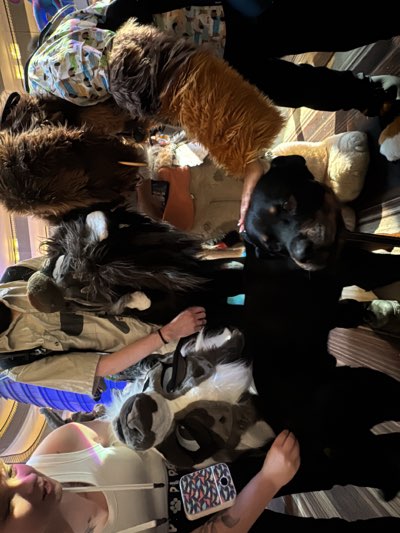 A partially visible individual is holding a black dog. The dog is lying on the floor amidst several furry objects, possibly related to costumes or fursuits. The environment seems to be indoors, likely in a home or workshop setting. This event appears to be taking place in Atlanta, United States.