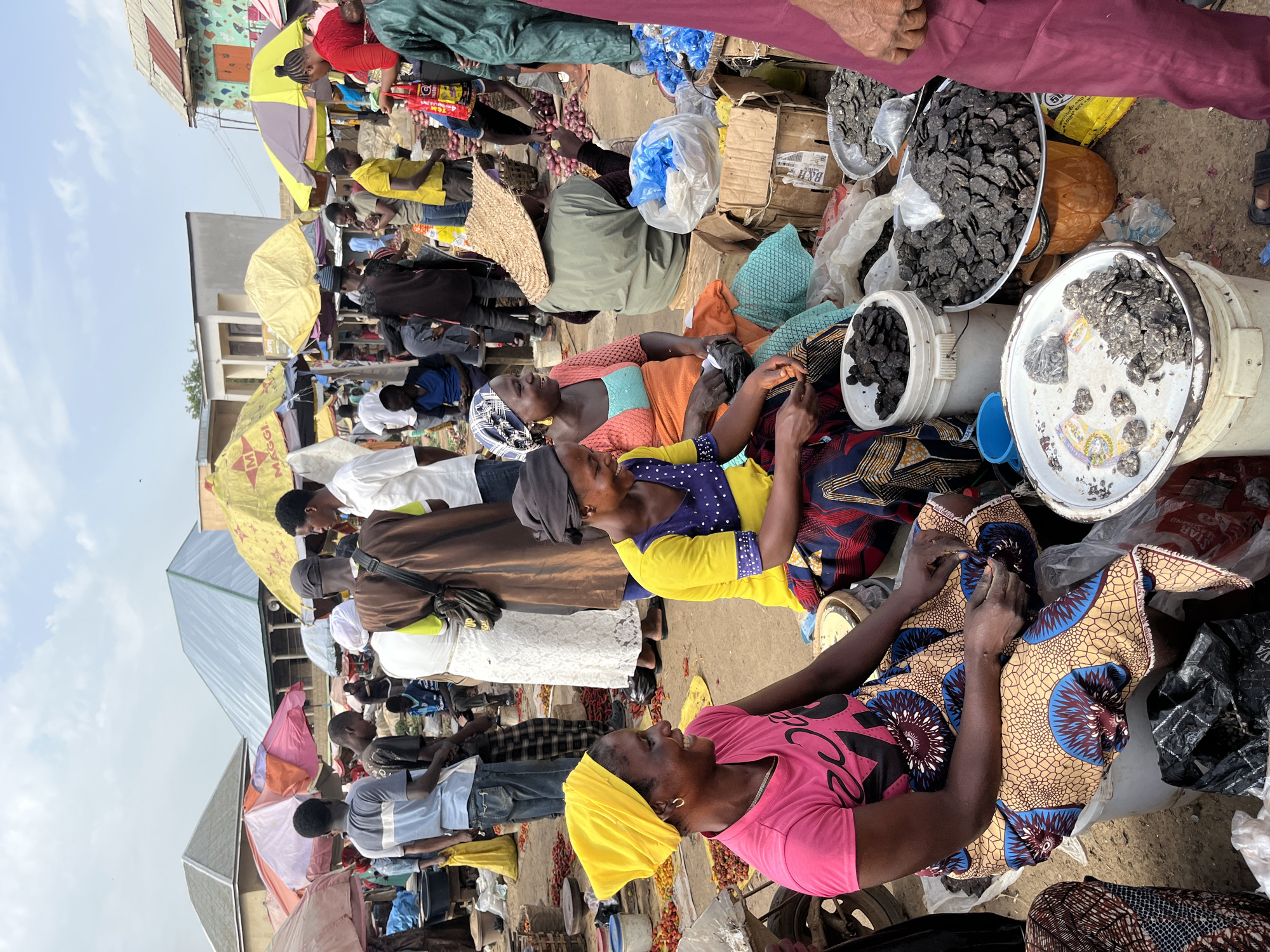 The image depicts a bustling outdoor market scene in Rafin Par, Nigeria. The foreground is dominated by three women seated amongst various goods. The woman on the left, wearing a pink t-shirt and a yellow headwrap, smiles broadly while looking to her left. Beside her, a woman in a vibrant yellow and purple top and a patterned skirt, also smiling, is in the process of handling some items. To their right, a woman wearing an orange and turquoise top and a patterned skirt, with a white headwrap, looks towards the right of the frame, holding a piece of food and straw hat.
The market is filled with a variety of items for sale, including piles of dark, dried goods in buckets and trays, likely food products. Red chilies are scattered on the ground in front of the seated women, and blue and white plastic bags are visible. In the background, other market-goers are seen browsing and interacting, with some under colorful umbrellas providing shade. Structures with corrugated roofs and some buildings are visible behind the stalls. The overall atmosphere suggests a lively and active marketplace.