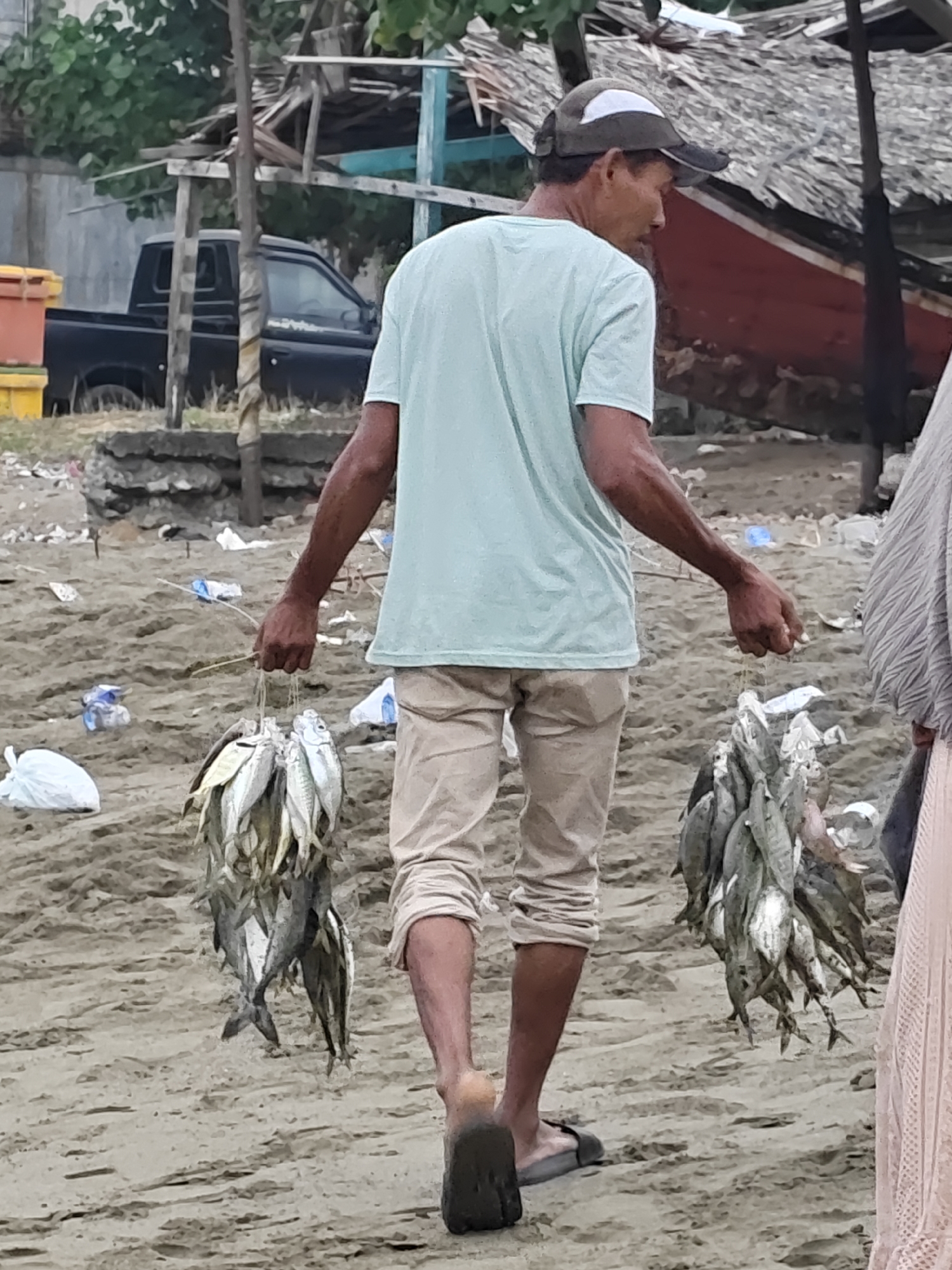In Curehtunong, Indonesia, a man walks along a sandy beach carrying two large bunches of freshly caught fish. The man is wearing a light blue t-shirt, khaki pants, a baseball cap, and sandals. He is walking away from the camera, towards the background where a dilapidated wooden structure with a thatched roof and a red boat are visible. A black pickup truck is parked behind the structure. The beach is littered with debris, including plastic bottles and bags. The man's left arm is bent at the elbow, with his hand holding one bunch of fish, while his right arm is extended to his side, holding the second bunch. The fish are silver and appear to be small to medium in size. The lighting suggests it is daytime, with overcast conditions.