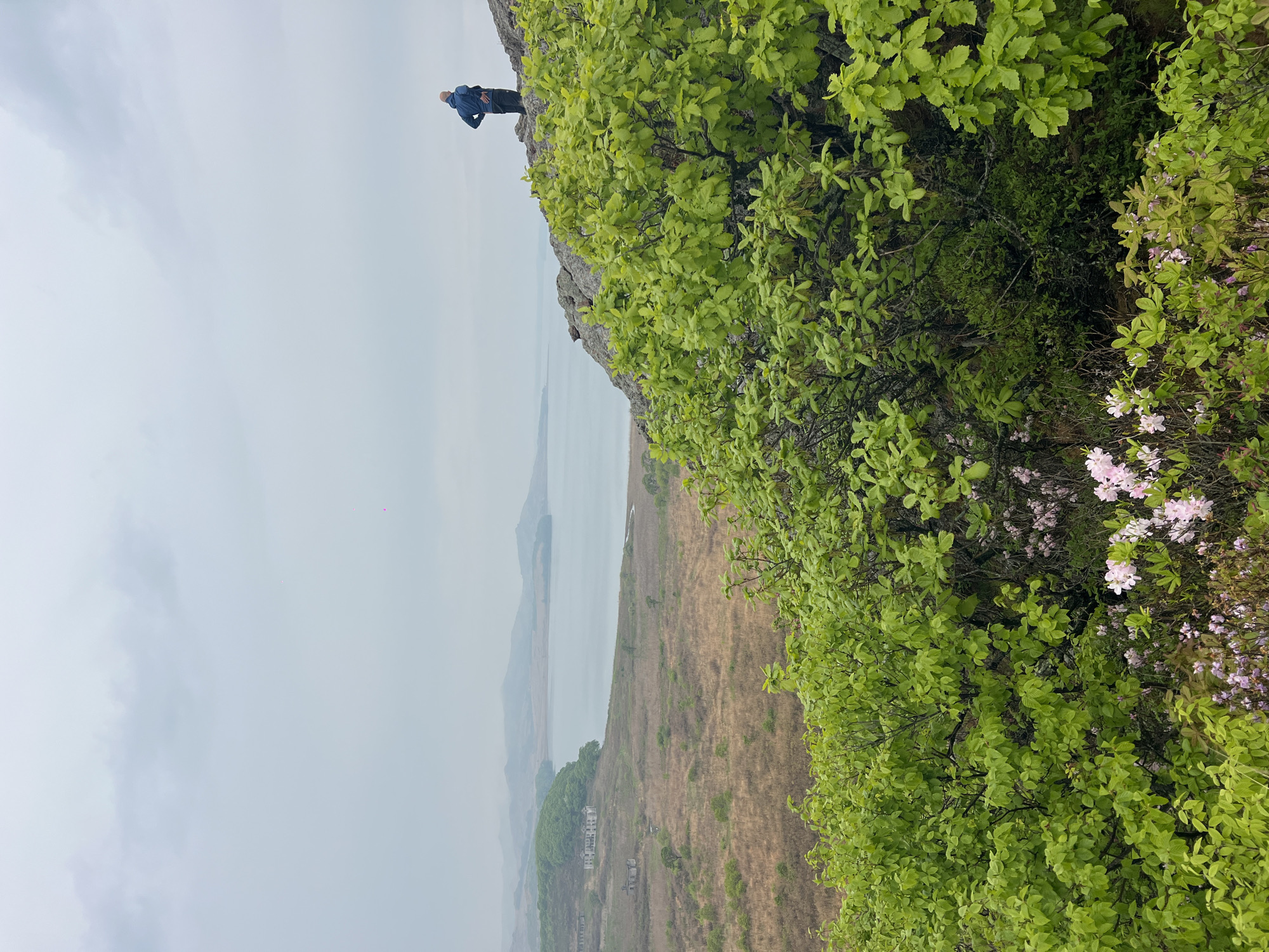 A man is standing on a rocky precipice overgrown with lush, green vegetation featuring flowering shrubs with light pink blossoms. He is facing outward, seemingly observing the landscape. A body of water, likely a river or lake, is visible in the distance, backed by rolling hills partially obscured by a hazy or overcast sky. The terrain below the cliffside is a blend of open, grassy areas and sparse trees. The image appears to be taken in a rural or natural setting, possibly in the vicinity of Gvozdevo, Russia, though specific identifying landmarks are not evident. The scene evokes a sense of observation and appreciation of natural scenery.