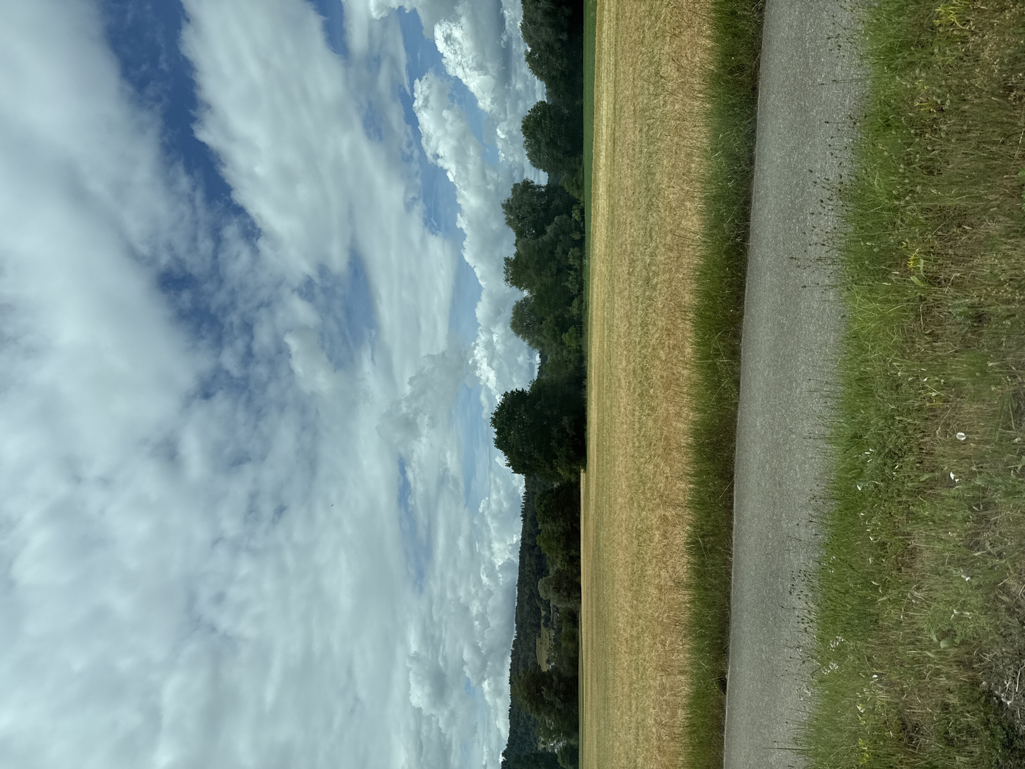 The image displays a serene rural landscape, characteristic of a countryside setting, likely in Küssaberg, Germany. The scene is bisected by a narrow, paved path or road that runs along the right side of the frame.
To the immediate right of the path, a strip of lush green grass thrives, dotted with small plants and wildflowers, suggesting an untamed verge. On the left side of the path, a large field stretches horizontally, filled with golden-brown crops, possibly indicating ripened grain or a recently harvested area.
In the mid-ground, a dense line of dark green trees forms a prominent horizontal band, likely a forest or treeline. Beyond these trees, rolling hills or mountains, also covered in verdant foliage, recede into the distance, contributing to the depth of the landscape.
The upper portion of the image is dominated by the sky, which features a mix of bright white and grey cumulus clouds interspersed with patches of clear blue. The lighting suggests a bright, daytime setting, possibly late morning or afternoon, under partially cloudy weather conditions.
There are no people or discernible activities taking place, and no visible text is present. The overall impression is one of tranquility and natural beauty.