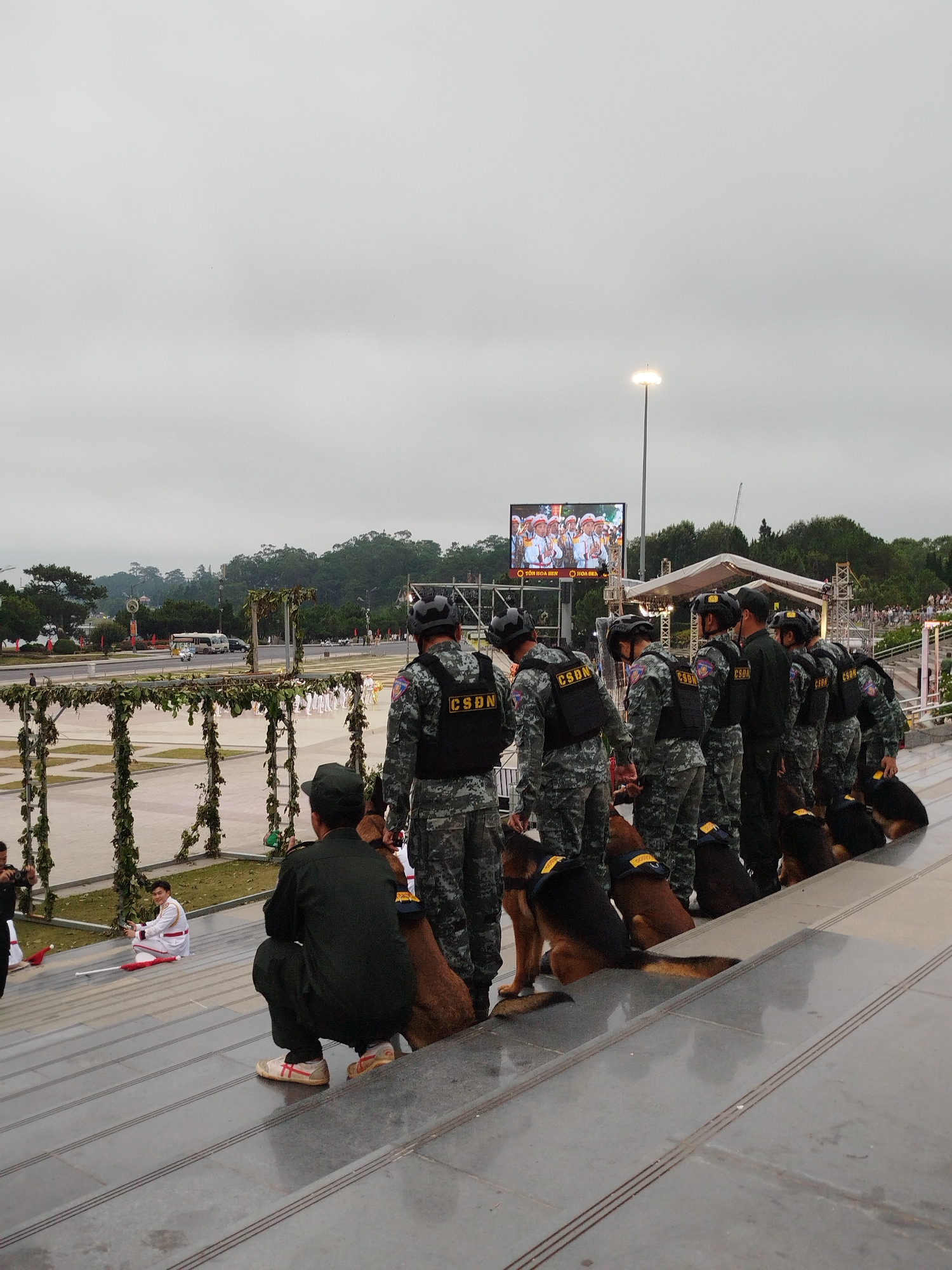 The image depicts an outdoor scene in Da Lat, Vietnam, likely during an event, with a contingent of uniformed personnel and working dogs positioned on a wide set of stone stairs. The individuals in uniform are wearing camouflage attire and vests labeled "CSDN," suggesting they are part of a law enforcement or security unit. They are accompanied by several German Shepherd dogs, also equipped with vests.
In the background, a large outdoor screen displays an image of people in ceremonial attire. There are decorative archways adorned with greenery, and a street with traffic is visible beyond. The environment suggests a public gathering or performance space, with trees and hills forming the backdrop. The sky is overcast, indicating a diffused light source.
On the lower left of the frame, a person in a dark uniform is kneeling, facing away from the camera, with a German Shepherd next to them. To the left of this individual, a young person in a white and red uniform is seated on the stairs, holding a white baton. The scene conveys a sense of preparedness and organization, possibly for a security detail or a public demonstration.