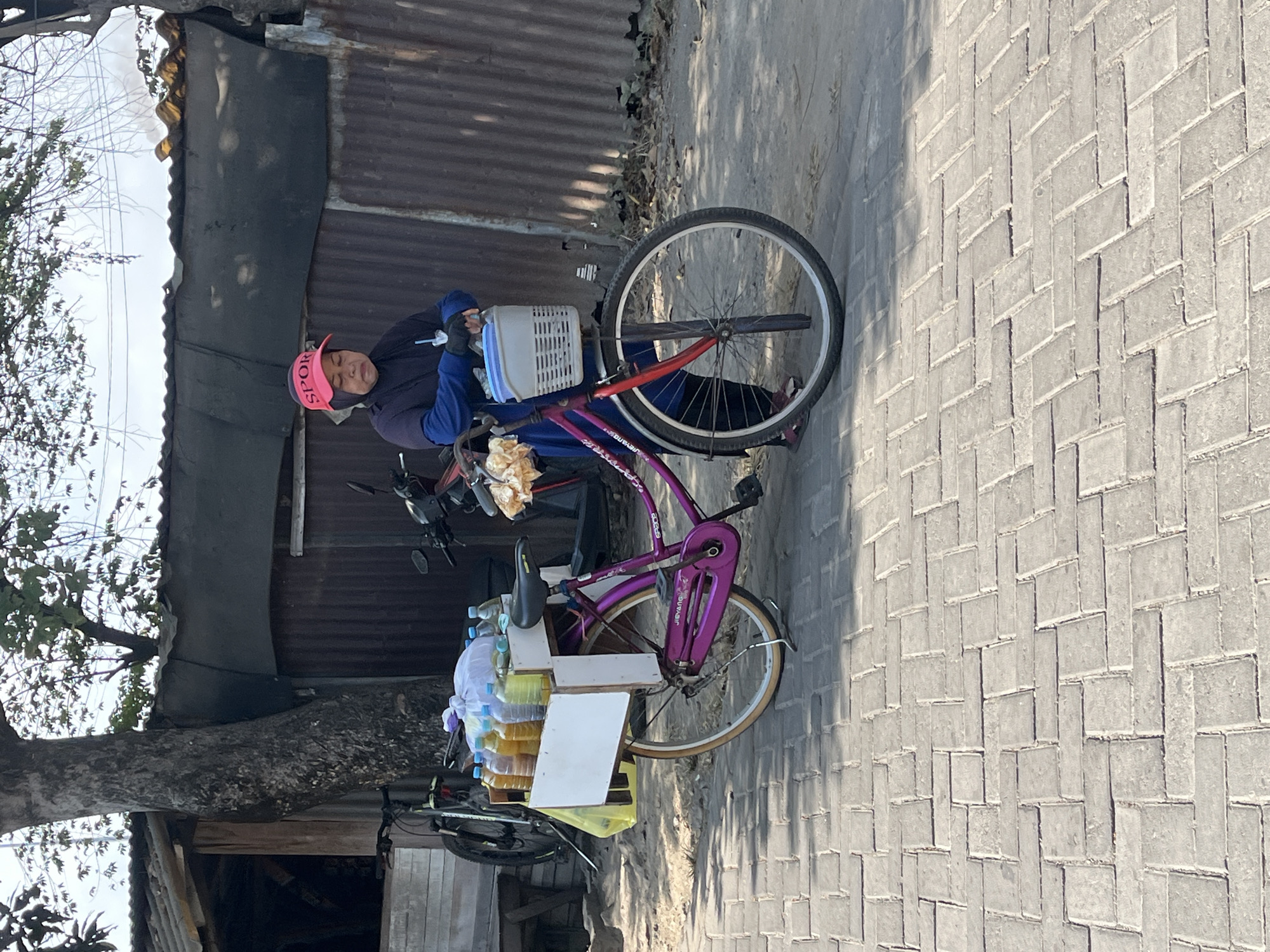 A woman in a pink visor and blue clothing stands next to a purple bicycle laden with bottles of liquid. The bicycle is positioned on a paved walkway, with a dirt and debris-covered area to the right. Behind the bicycle is a corrugated metal wall, and further back, a tree with sparse leaves shades a structure with a corrugated roof and wooden supports. The setting appears to be an outdoor market or street scene, possibly in Sidorukun, Indonesia, given the context. The woman is looking down at her hands, which are gloved. The bicycle has a white box on the rear rack holding several bottles filled with a yellow-orange liquid, and a white plastic basket is attached to the handlebars. A red motorcycle is partially visible behind the woman.