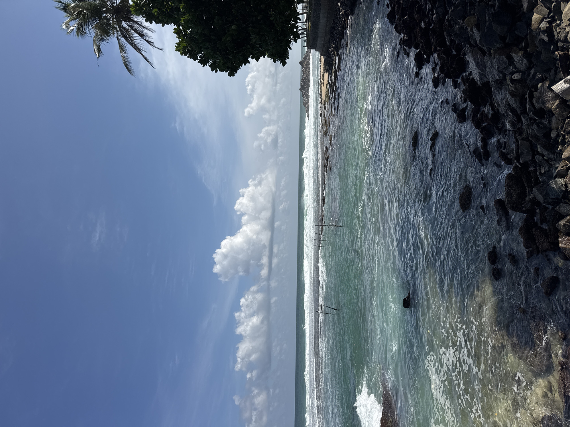 A wide-angle, eye-level shot captures a sunlit oceanfront scene with a clear blue sky dotted with fluffy white clouds. The turquoise water is calm with gentle waves lapping at a rocky shoreline. Wooden stakes are visible in the water, suggesting a traditional fishing area. To the right, a lush green tree and a palm tree stand against the sky, with a stone wall bordering the water's edge. The image depicts the serene coastal environment of Goviyapana, Sri Lanka.