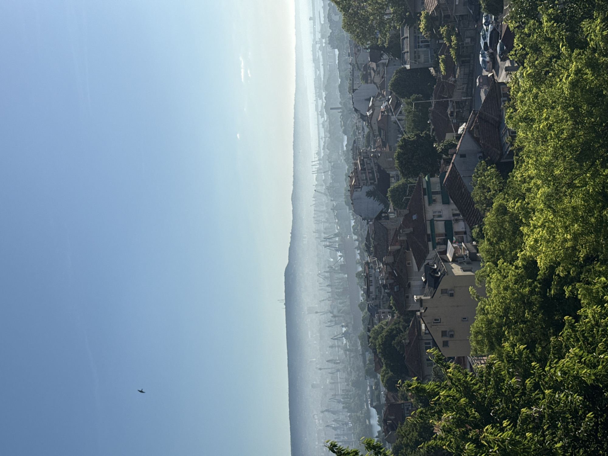 The image depicts a panoramic view of a coastal city with a harbor, taken from an elevated position. In the foreground, lush green trees with dense foliage partially obscure a neighborhood of residential buildings with red-tiled roofs. The buildings are of various sizes and architectural styles, some appearing older with chimneys and dormer windows, while others are more modern with balconies and air conditioning units. A few parked cars are visible on a street between some of the houses.
In the middle ground, the scene opens up to reveal a sprawling port with numerous cranes of various sizes, suggesting industrial activity. Ships are docked in the water, and the port area is partially shrouded in a light haze. Beyond the port, a low-lying landmass or hill stretches across the horizon, also appearing hazy.
The sky is a clear, bright blue, with a single bird silhouetted against it in the upper left quadrant. The overall impression is of a sunny day, possibly early morning or late afternoon given the soft light and haze. The location appears to be a city with a significant port, likely on a body of water such as a bay or sea.